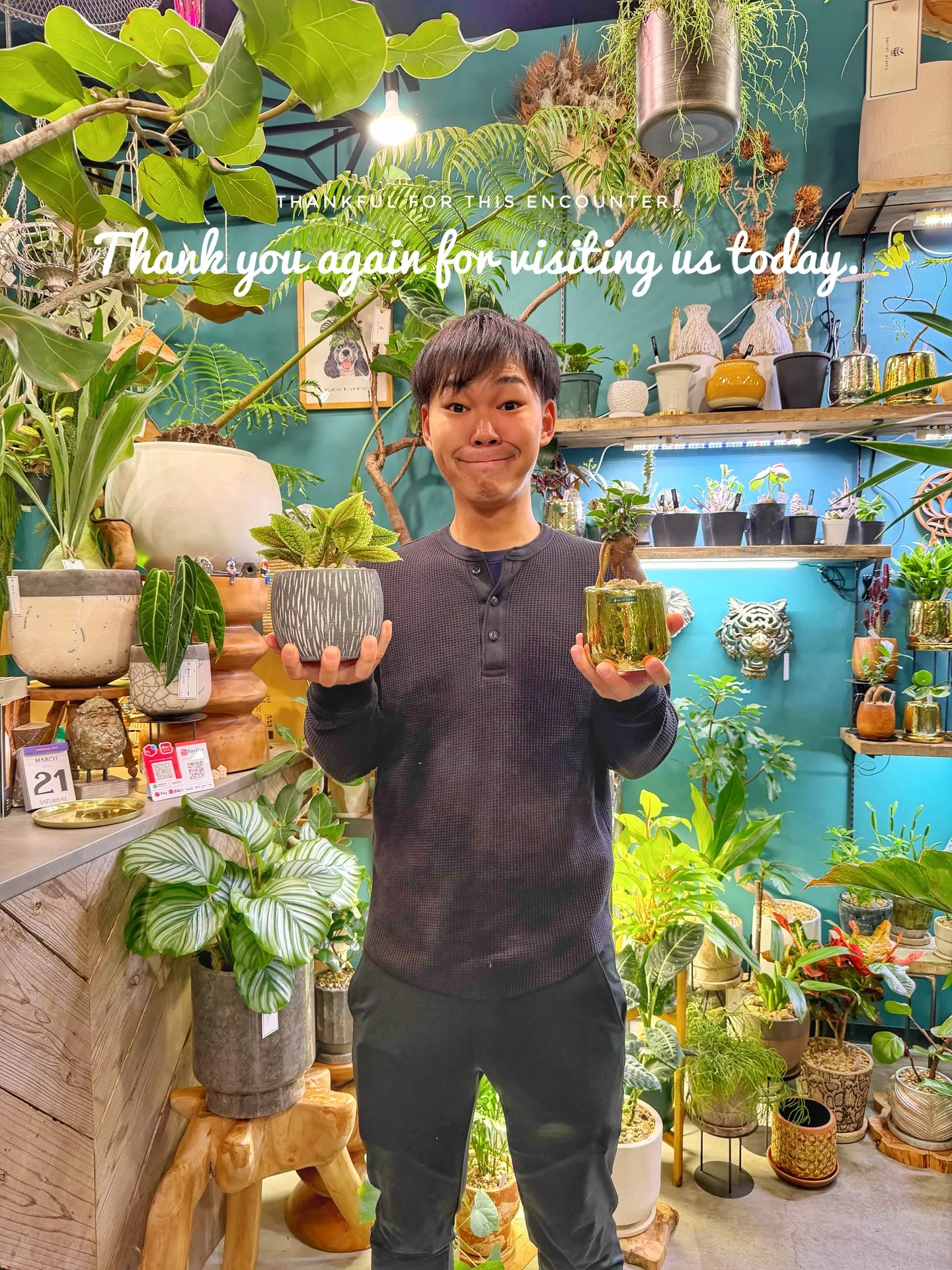 本日は新作鉢の入荷日です。