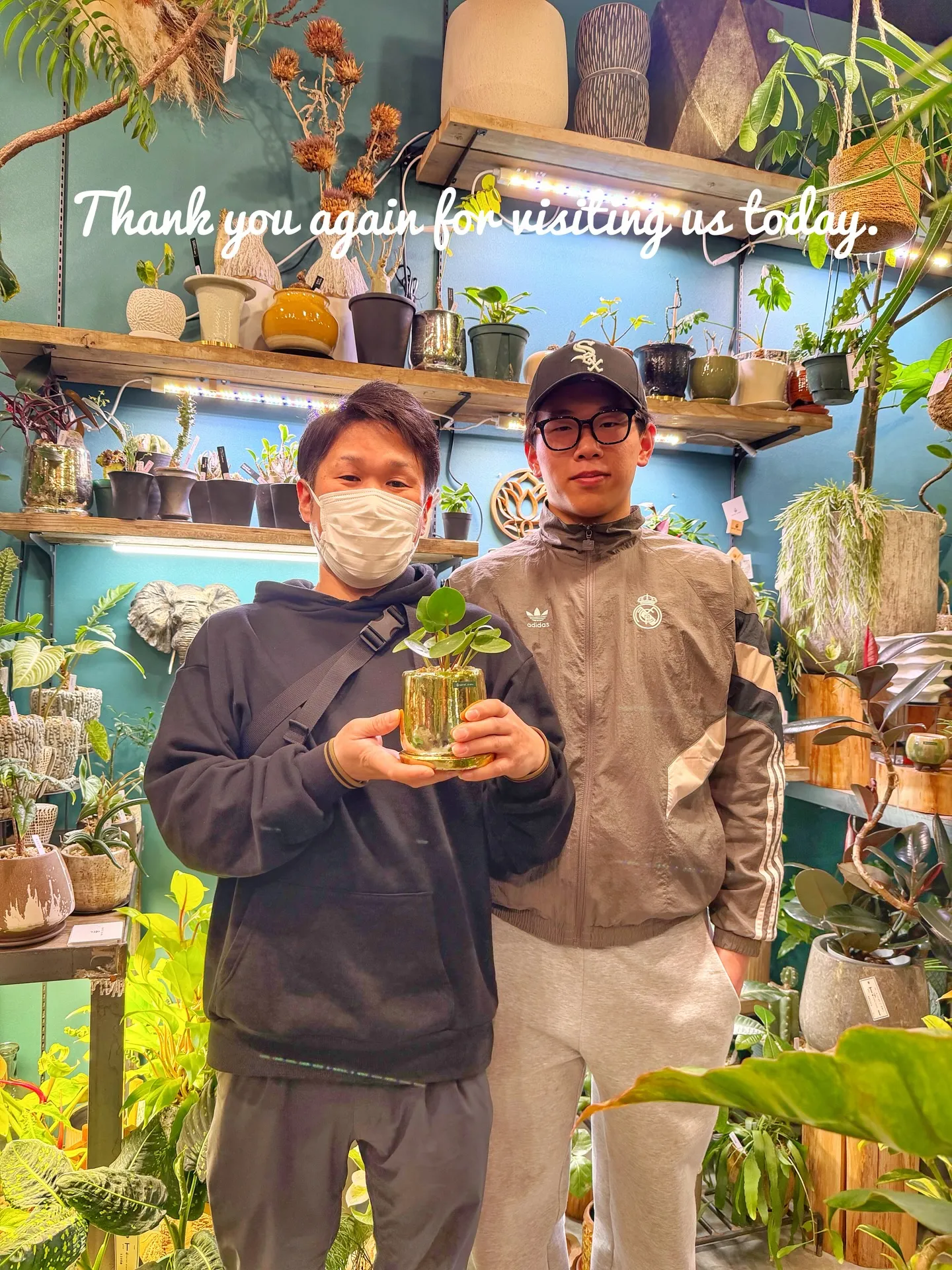 奥さんが独断と偏見で選ぶ!