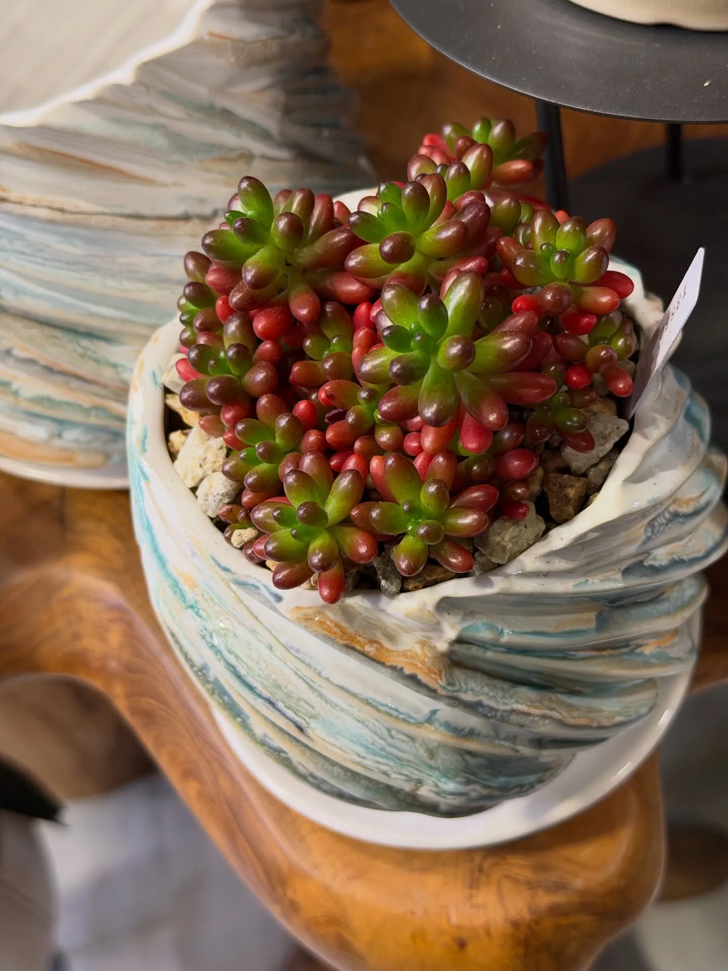 奥さんが独断と偏見で選ぶ!