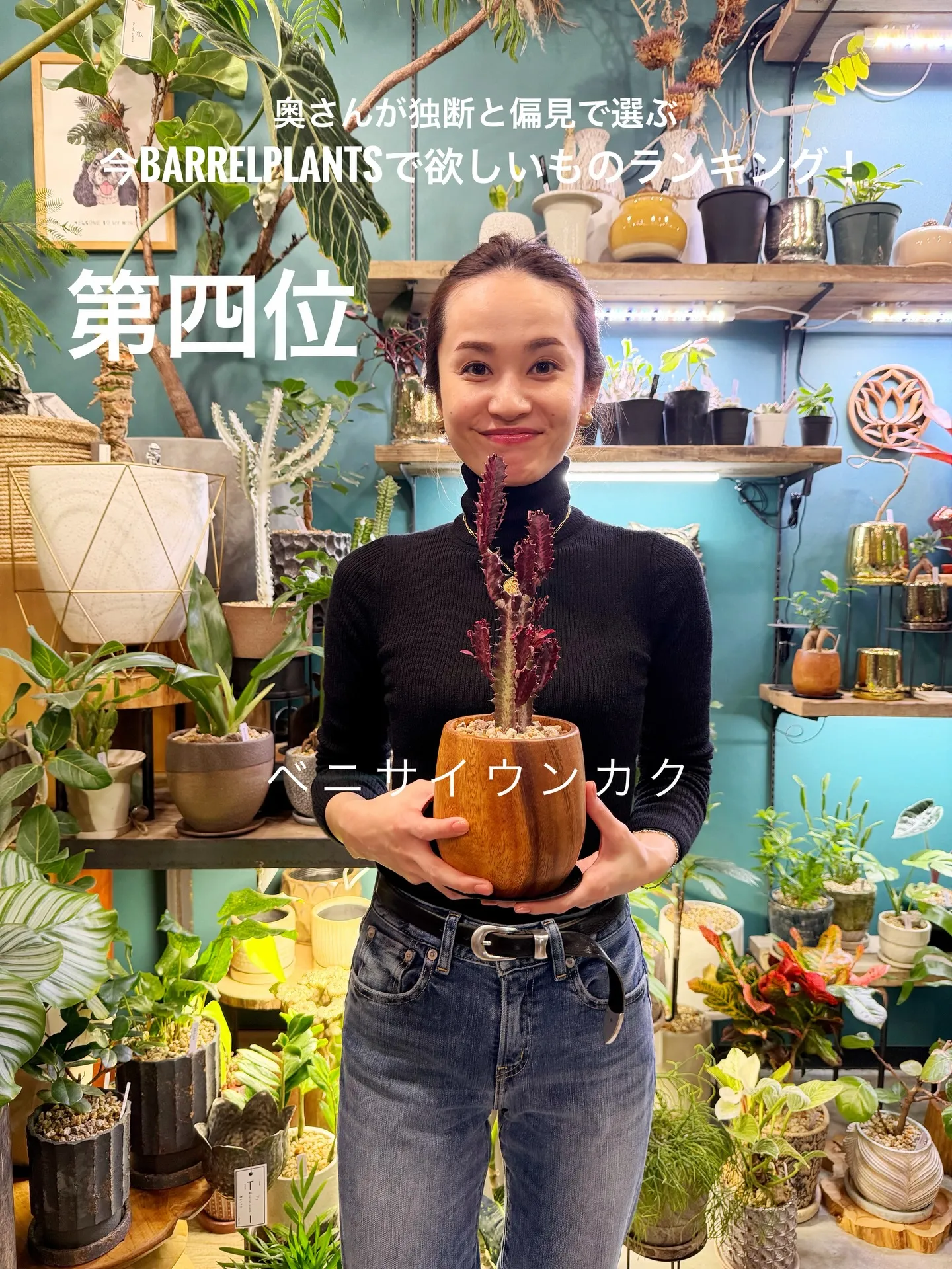 奥さんが独断と偏見で選ぶ!