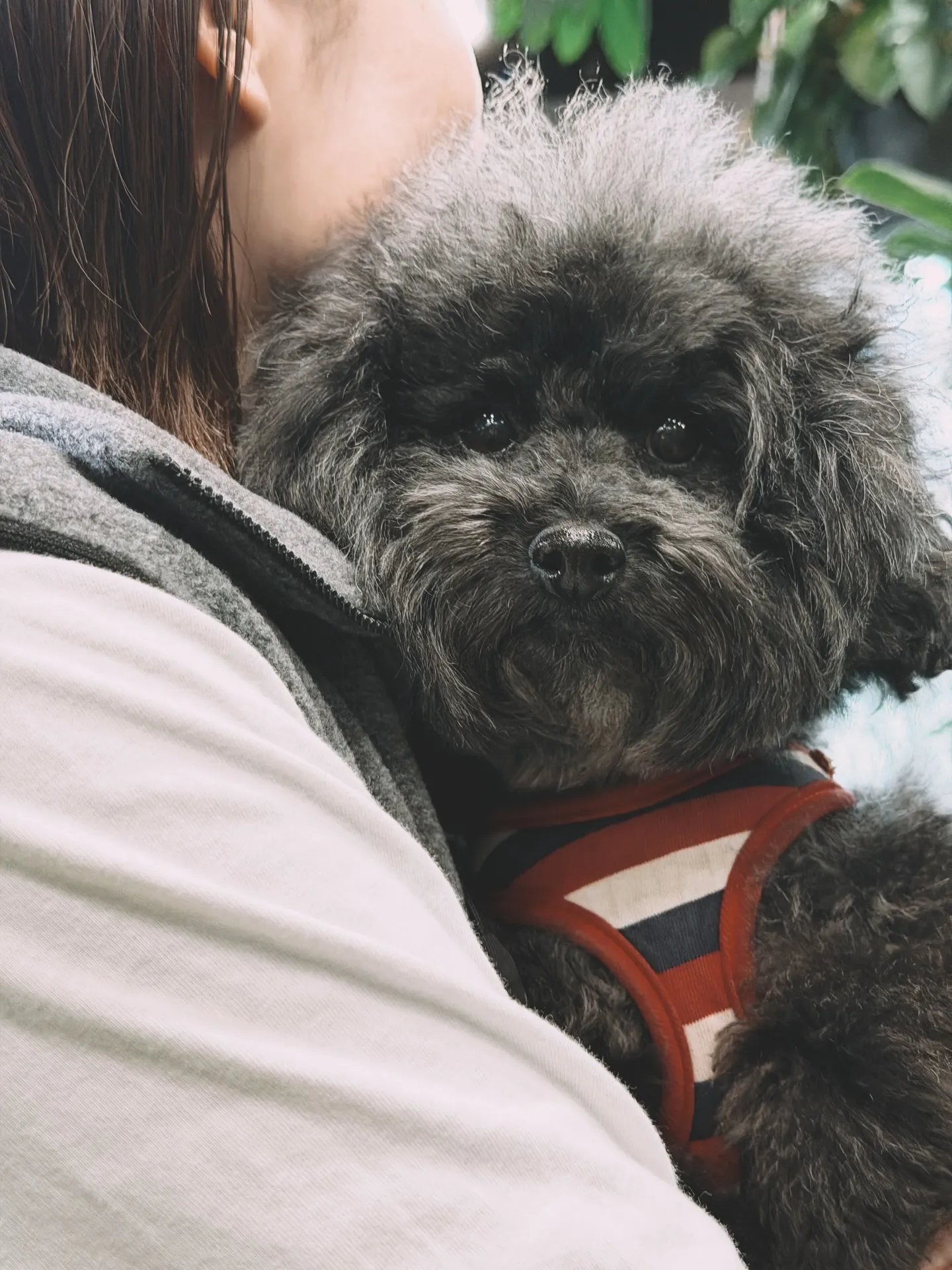 奥さんが独断と偏見で選ぶ!