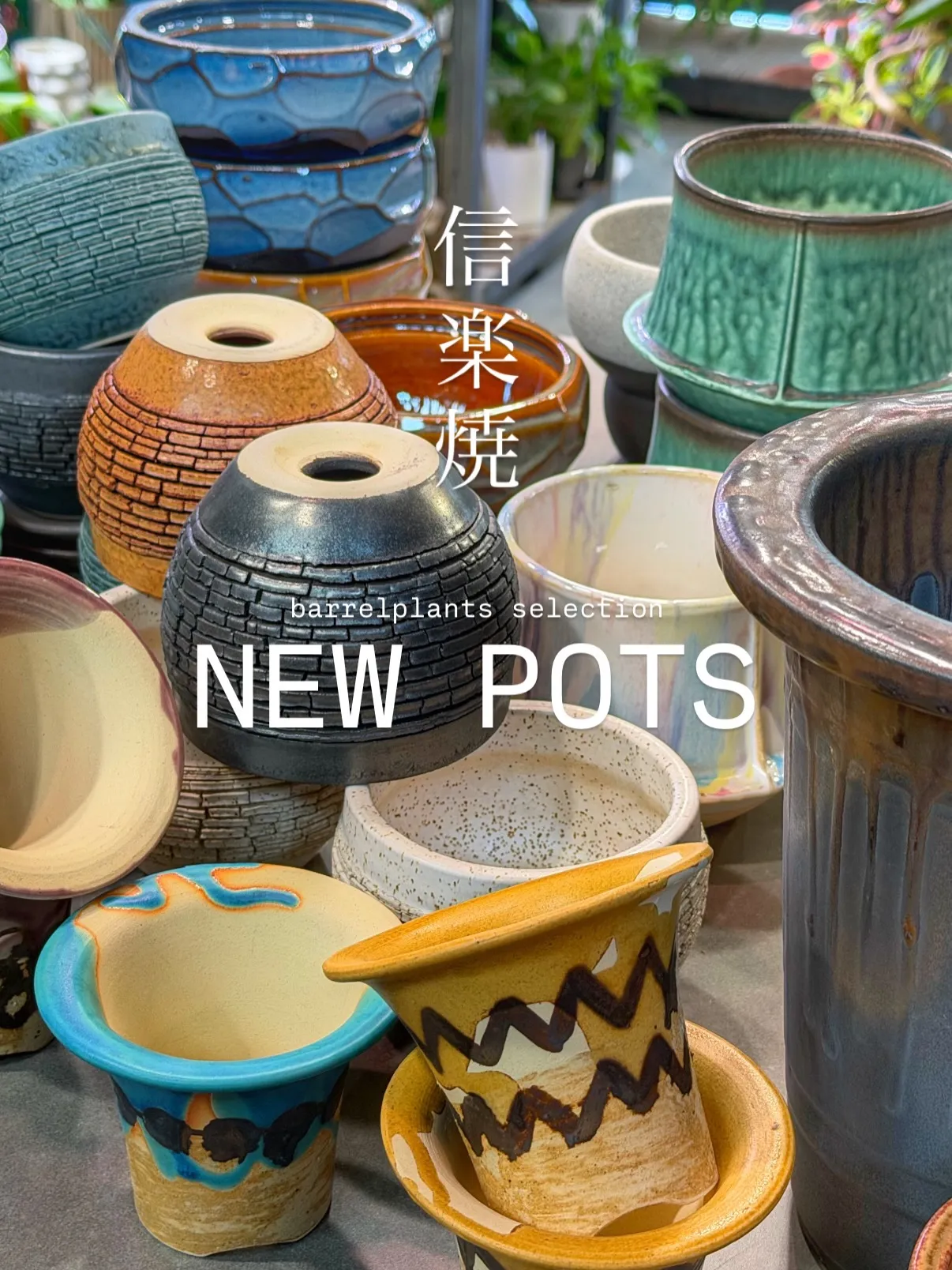New Shigaraki Pot Collection