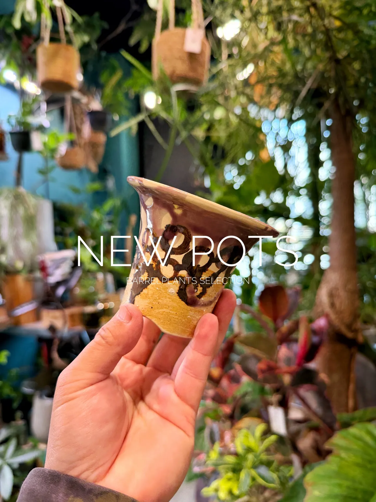 New Shigaraki Pot Collection