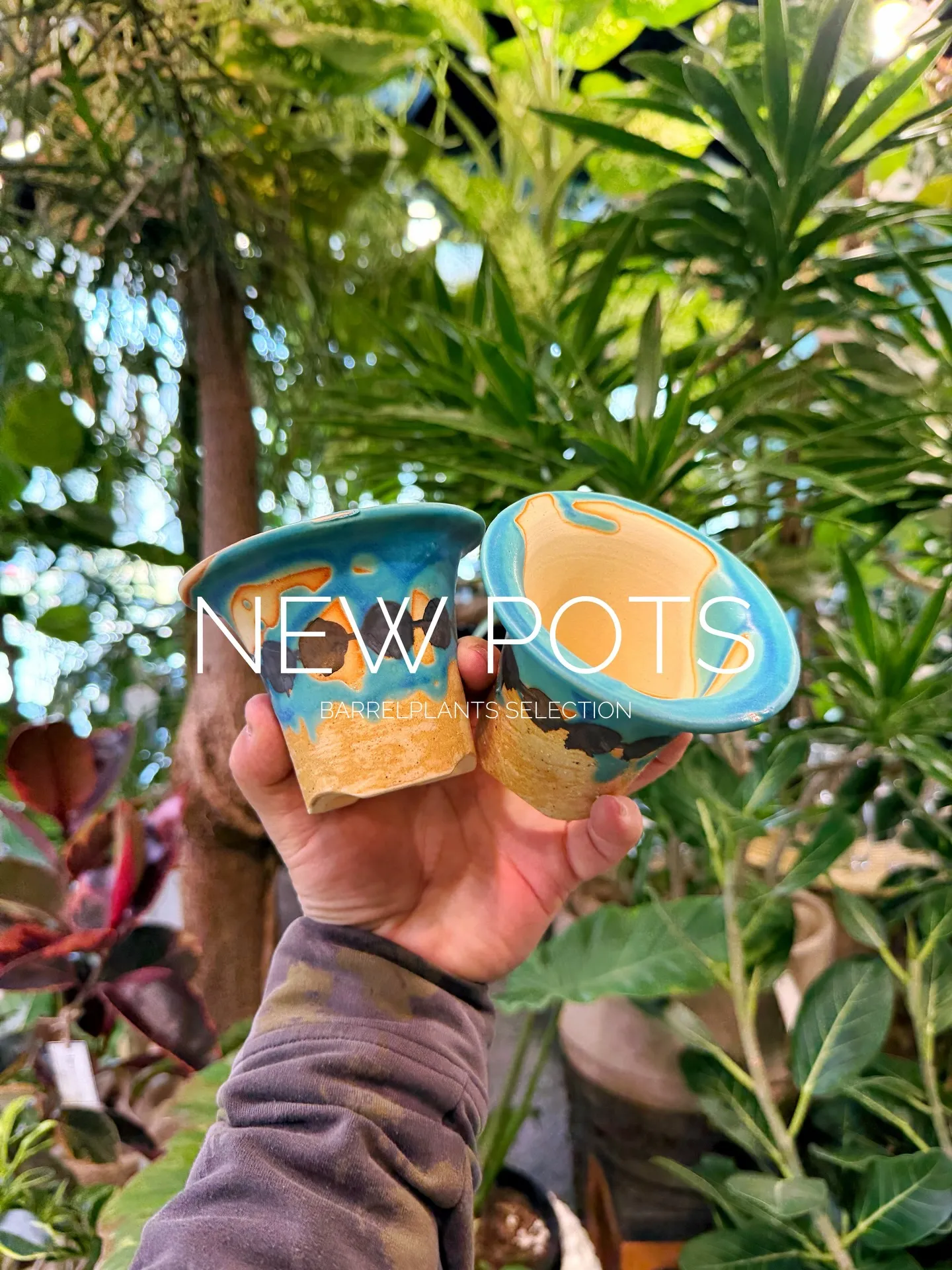 New Shigaraki Pot Collection