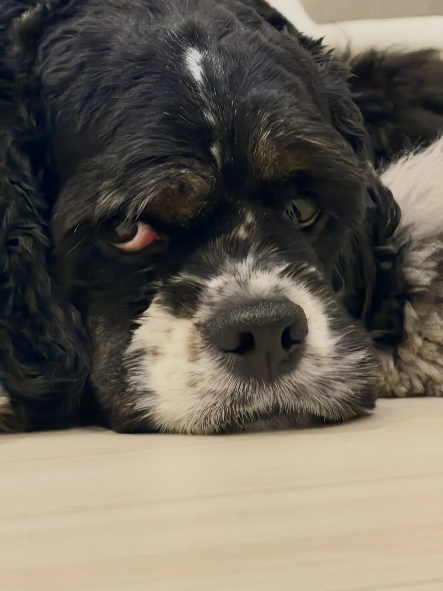 New Shigaraki Pot Collection