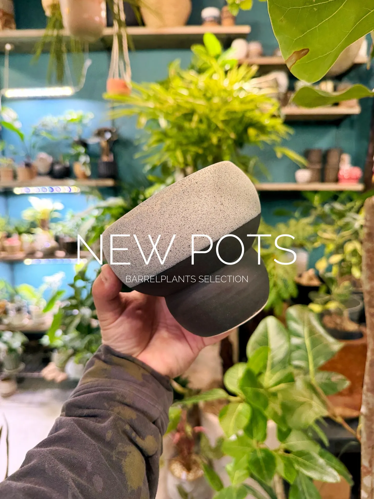 New Shigaraki Pot Collection