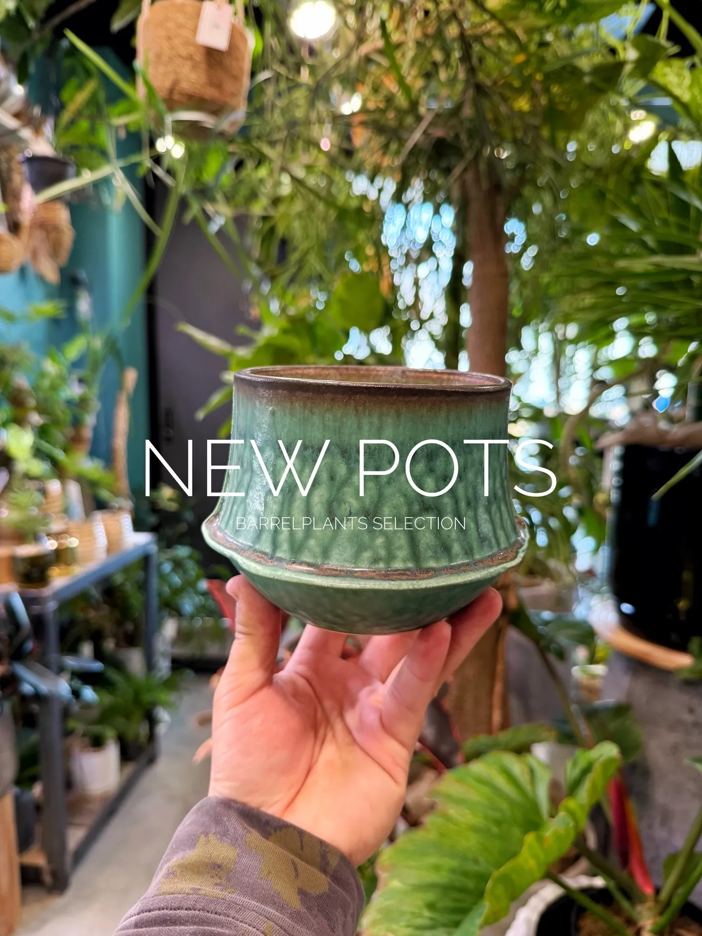 New Shigaraki Pot Collection