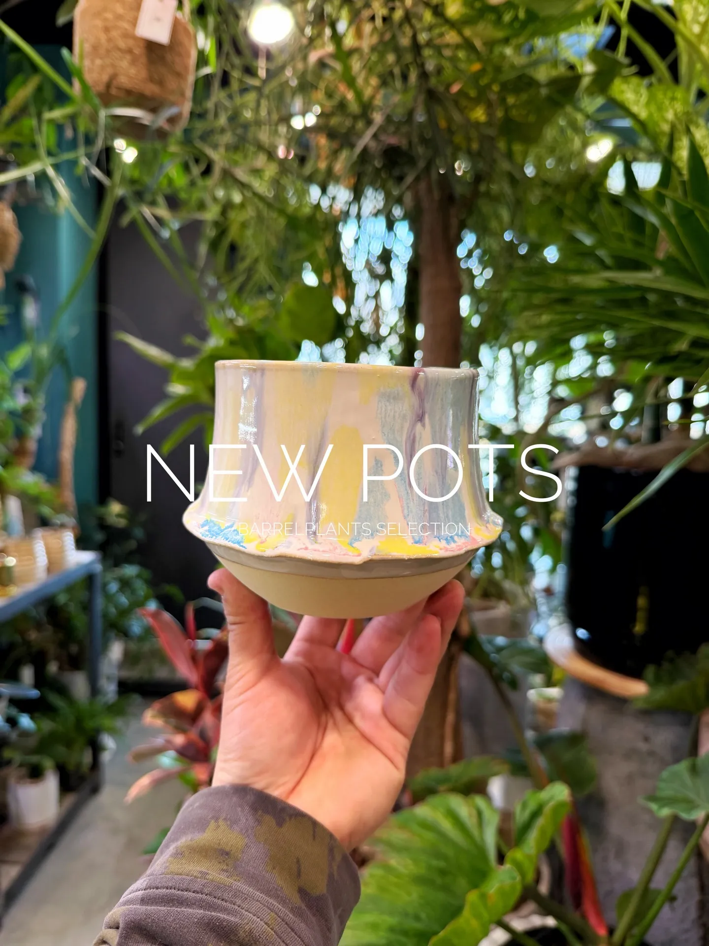 New Shigaraki Pot Collection
