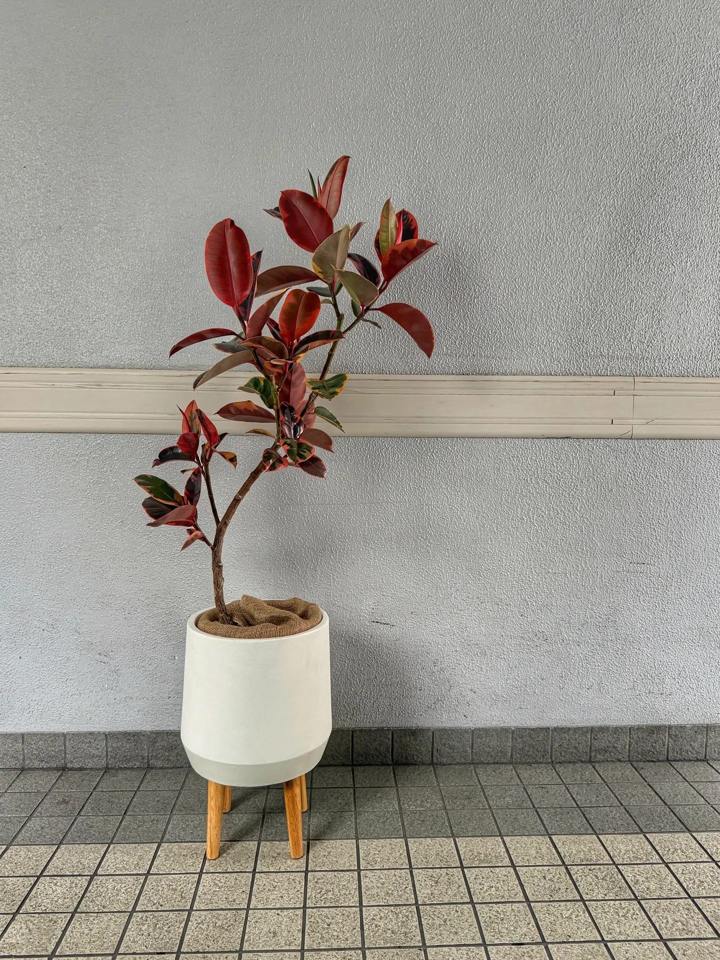 Today’s Fresh Finds — barrelpl...