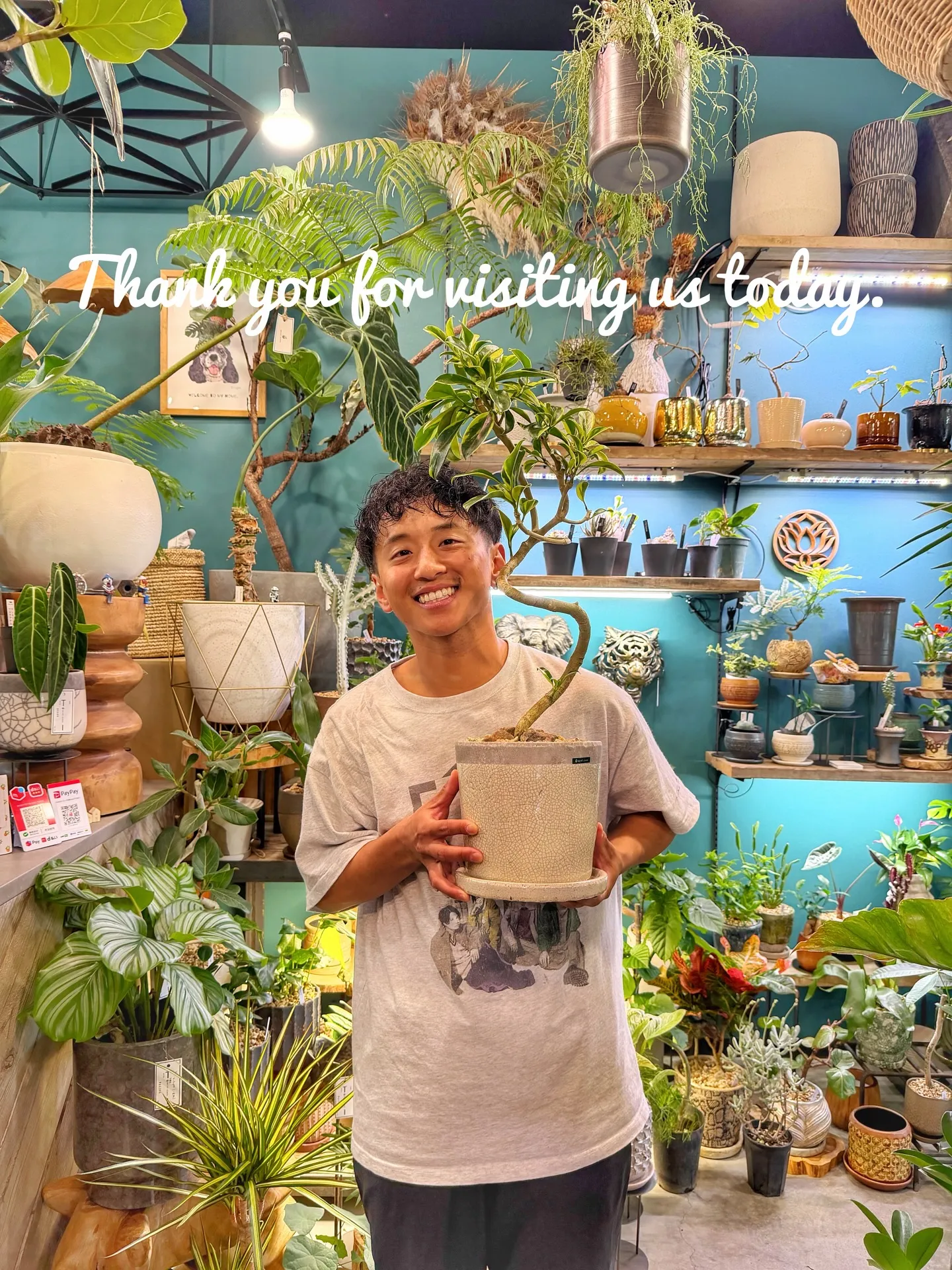 新店舗に向けて、極上アガベを確保。