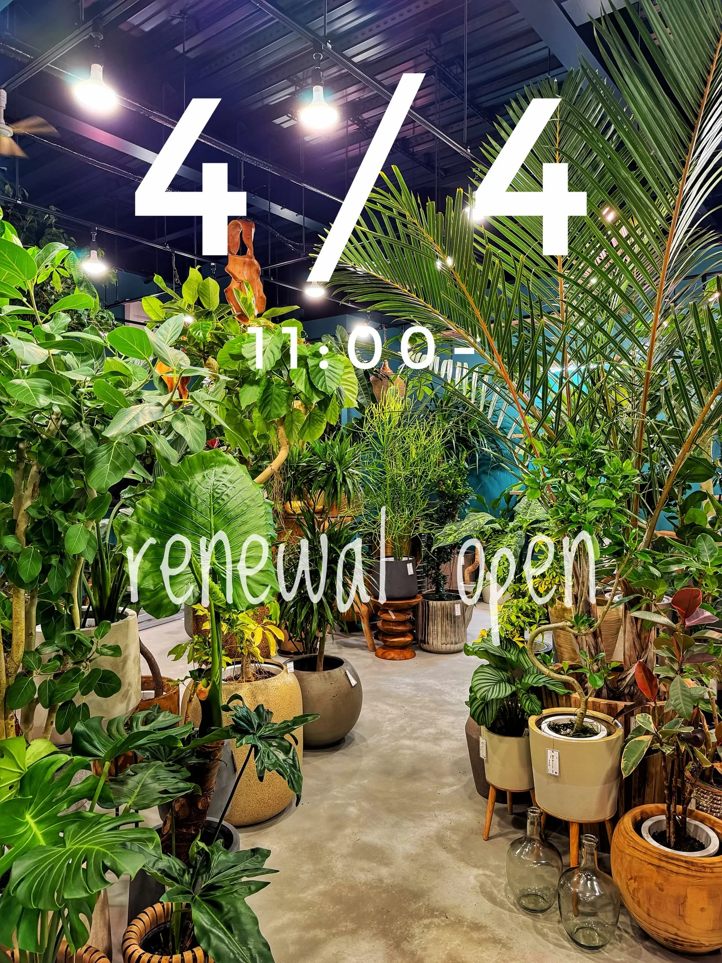 『この扉の先に、新しいbarrelplants。