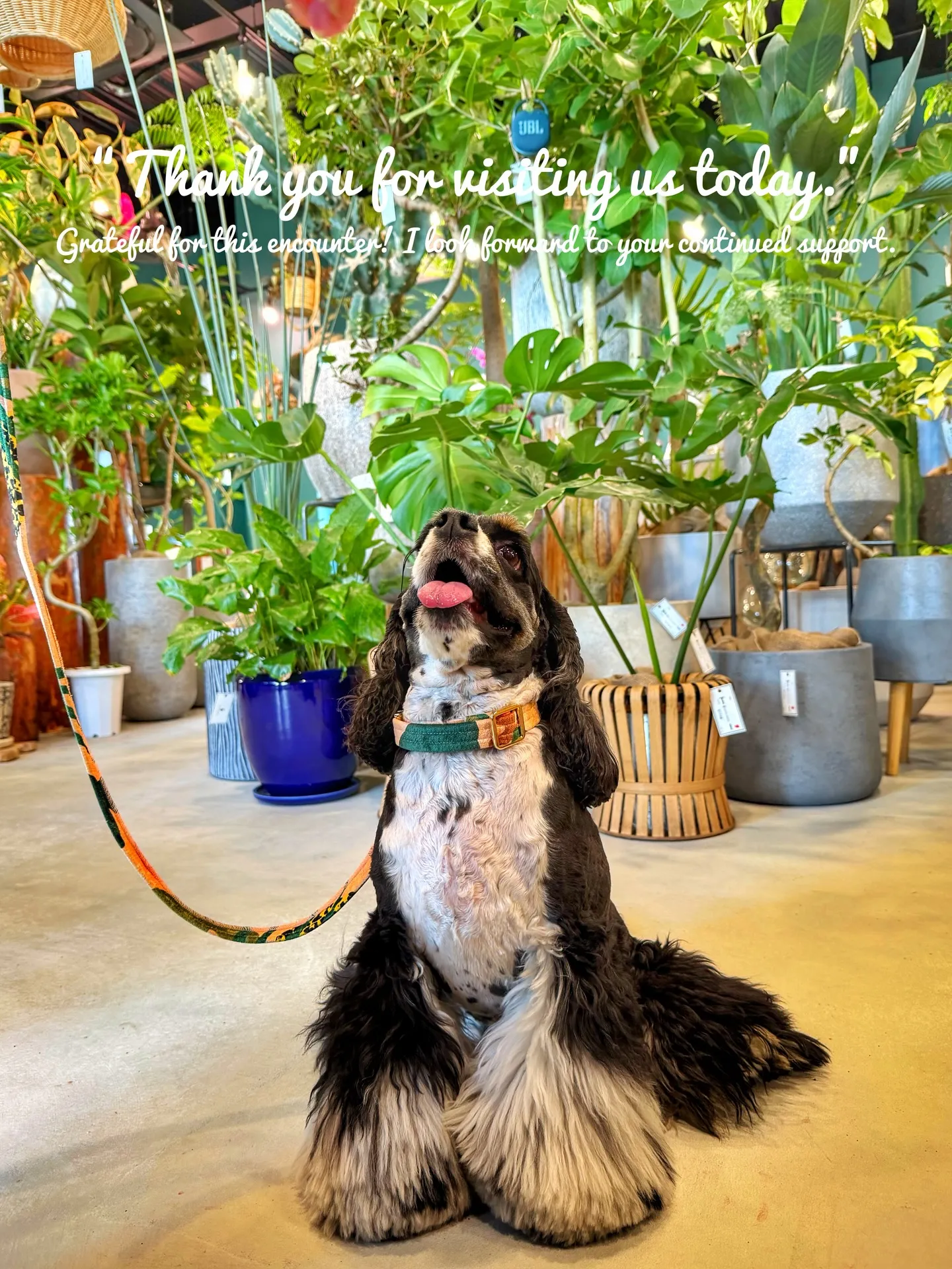 たくさんのご来店に心から感謝。