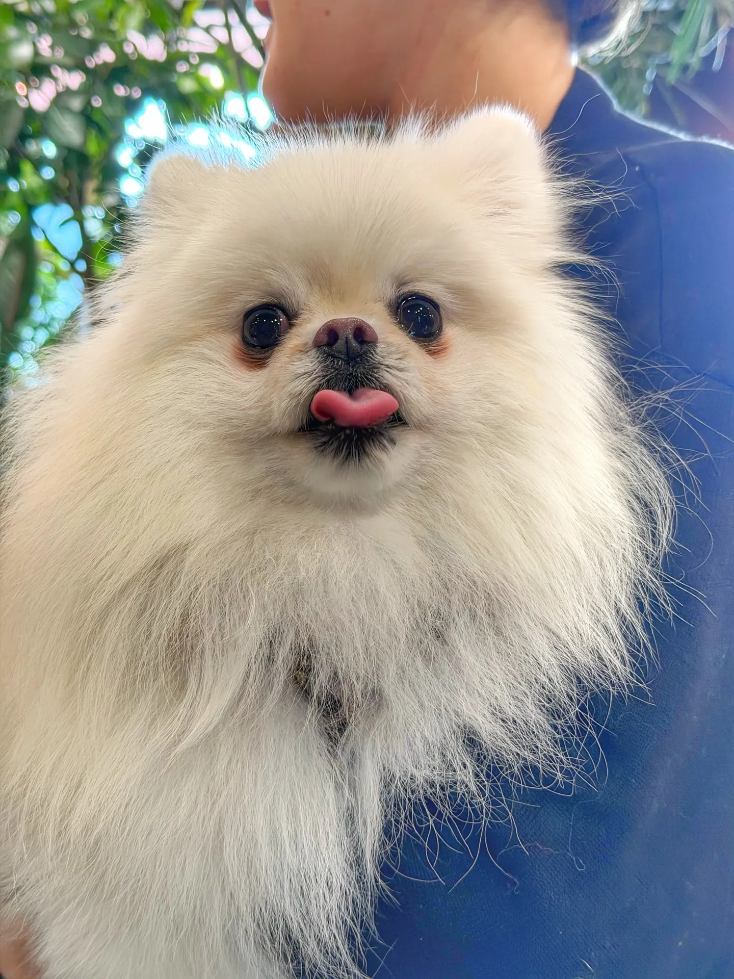 たくさんのご来店に心から感謝。