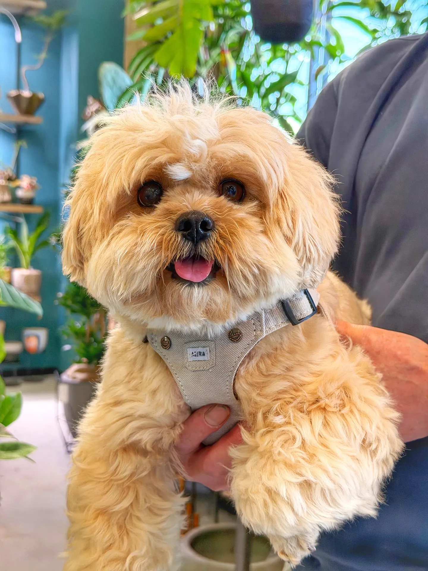 たくさんのご来店に心から感謝。