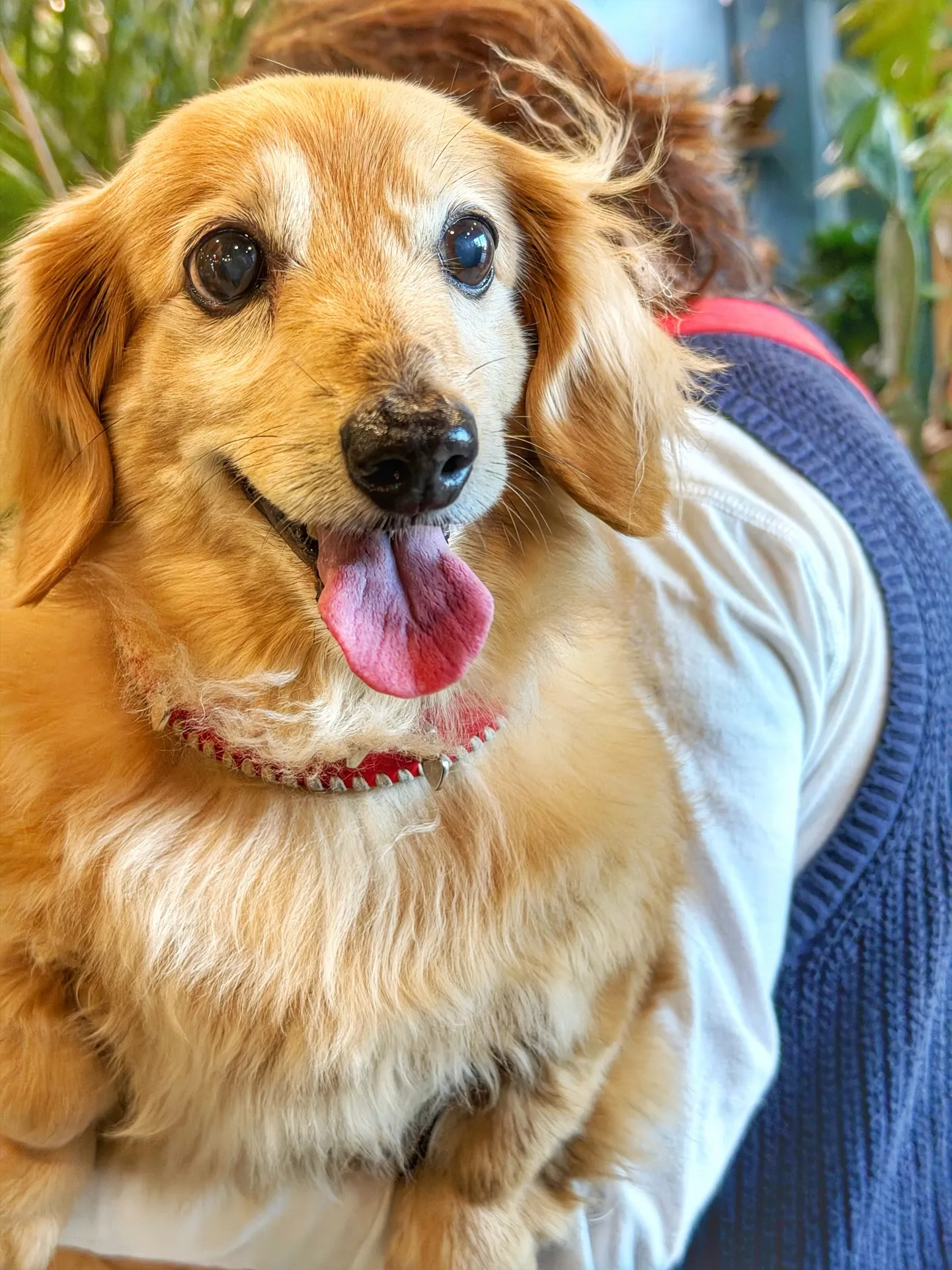 たくさんのご来店に心から感謝。