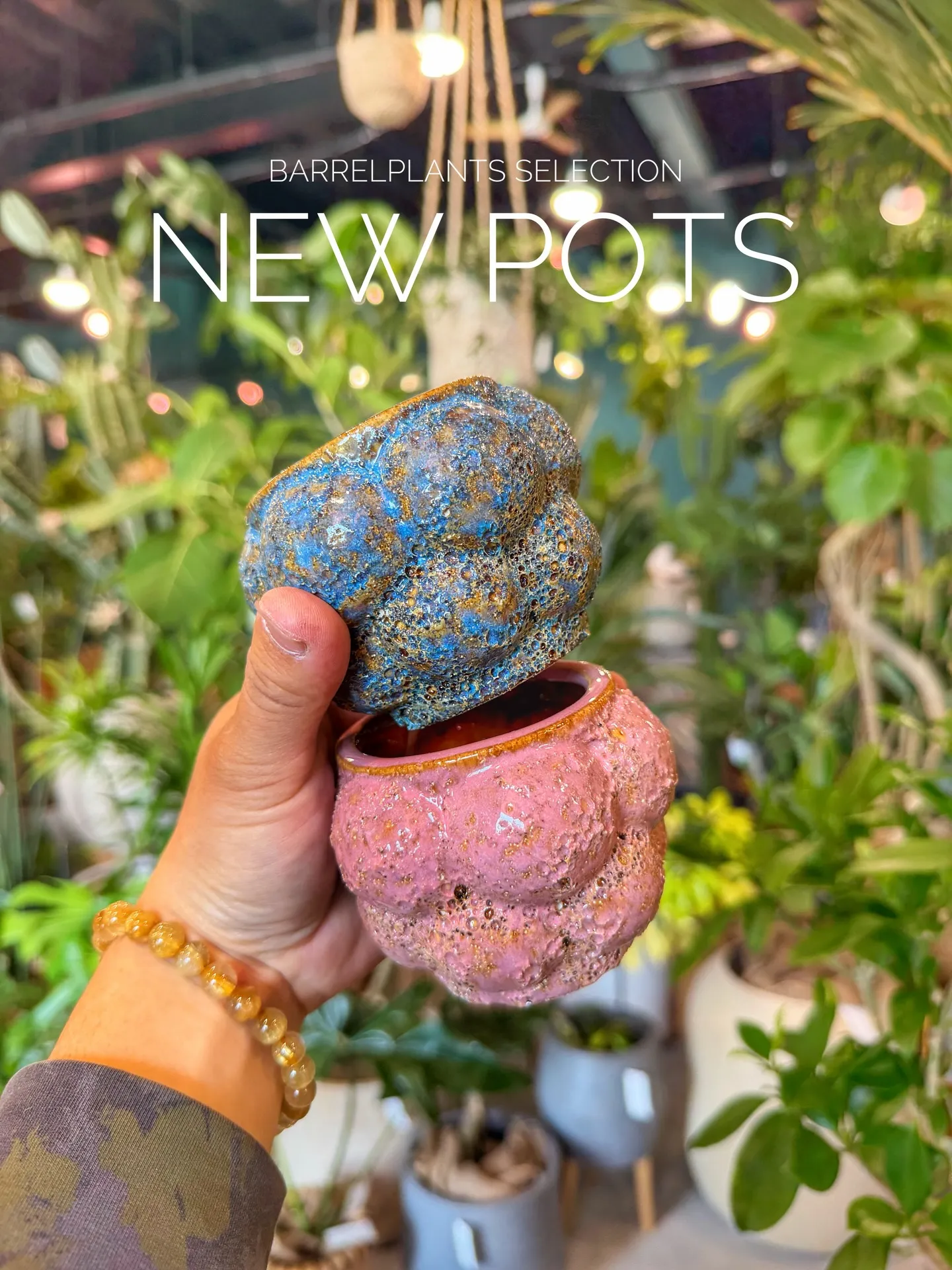 BARRELPLANTS SELECTION