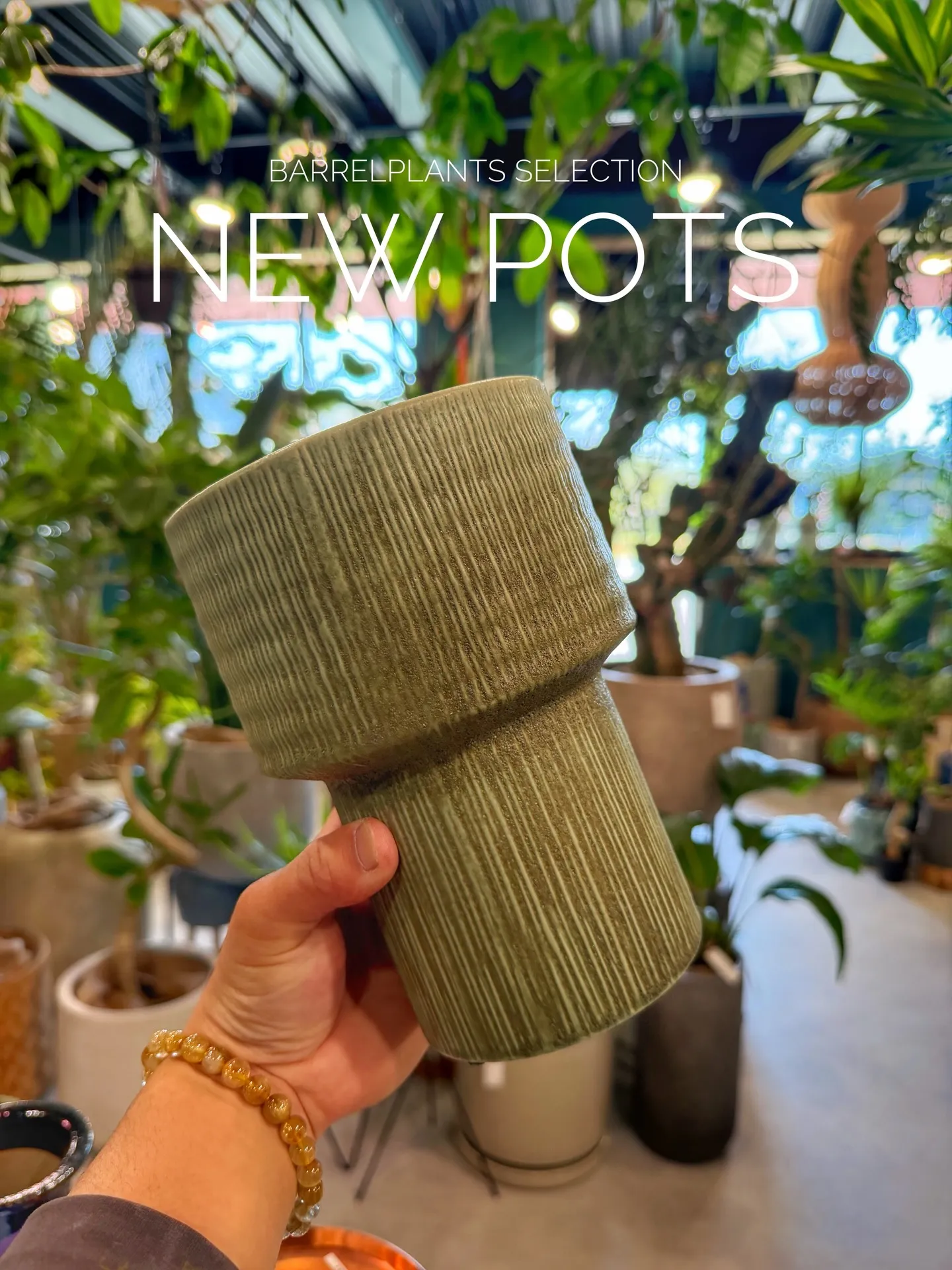 BARRELPLANTS SELECTION