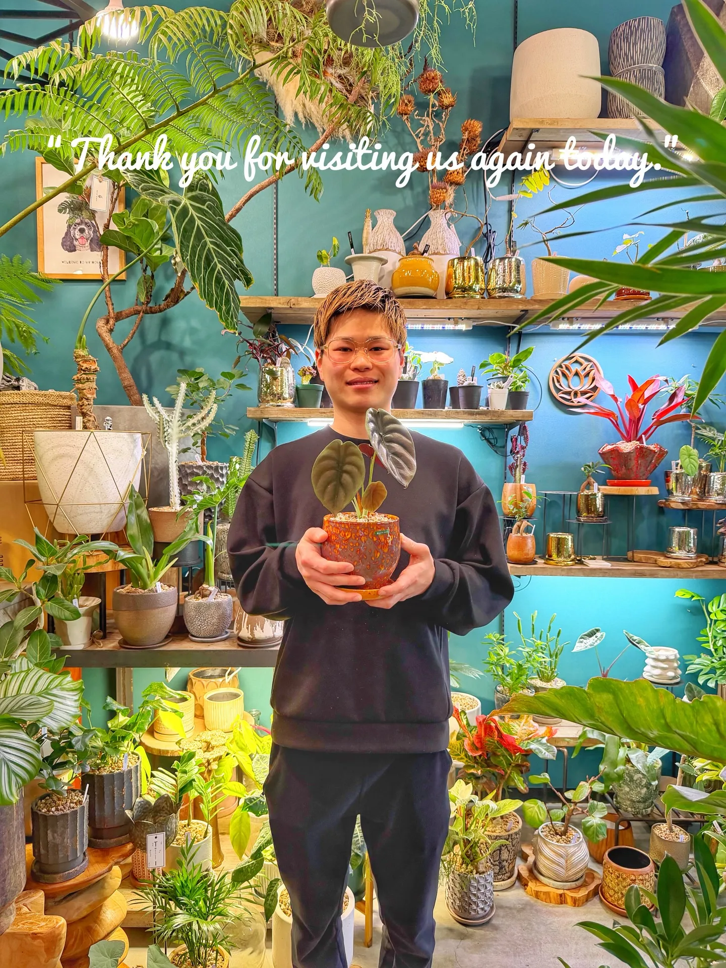 BARRELPLANTS SELECTION