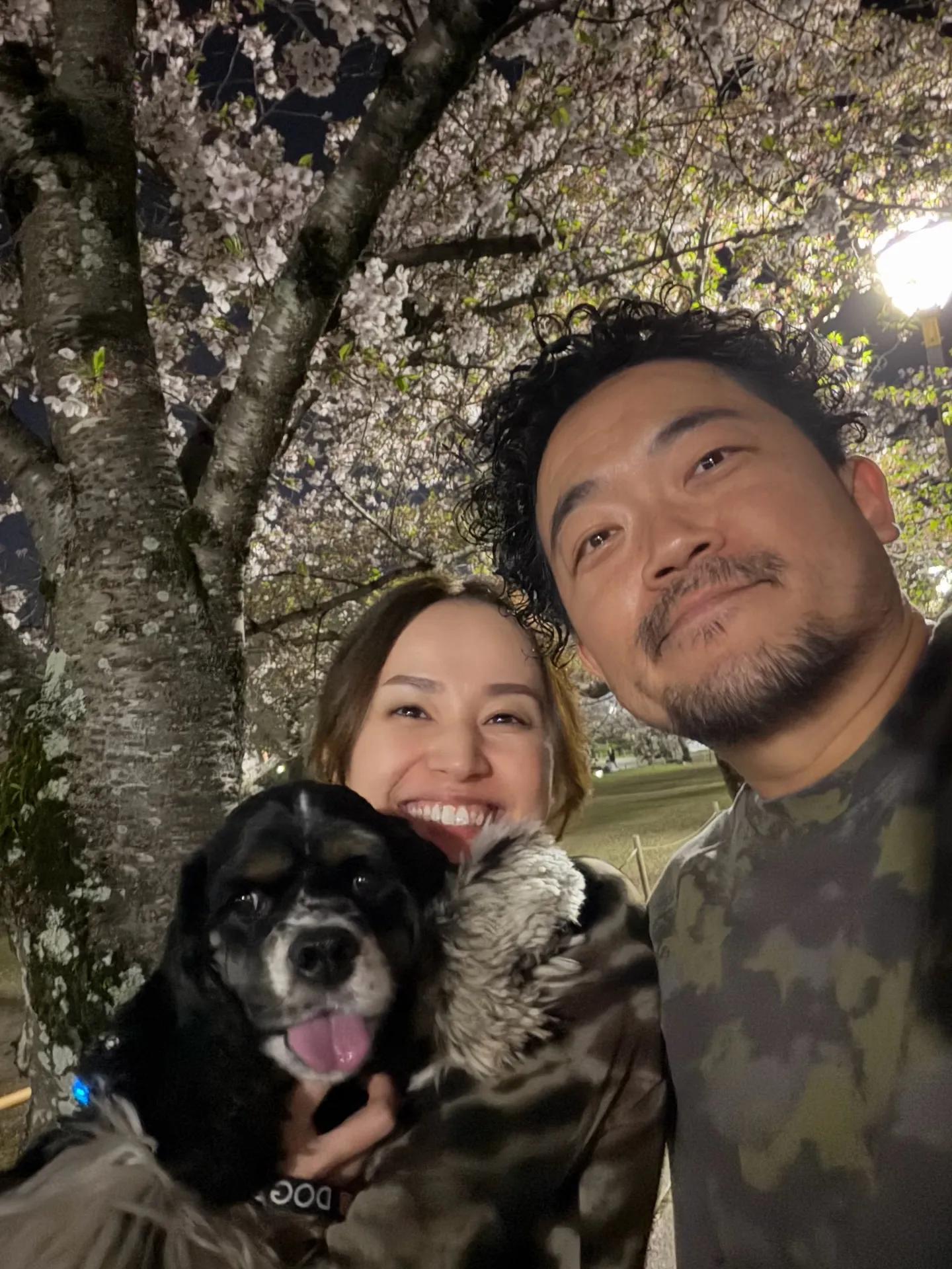 BARRELPLANTS SELECTION