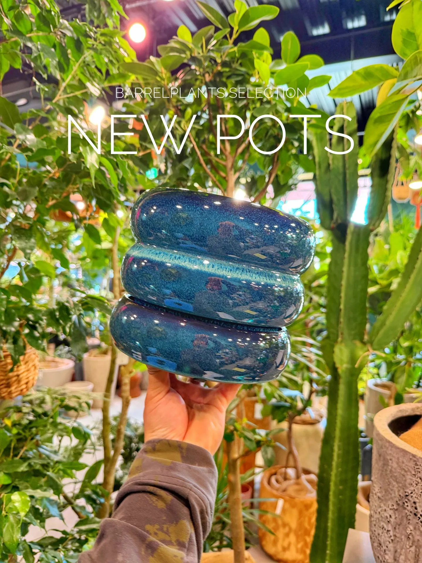 BARRELPLANTS SELECTION