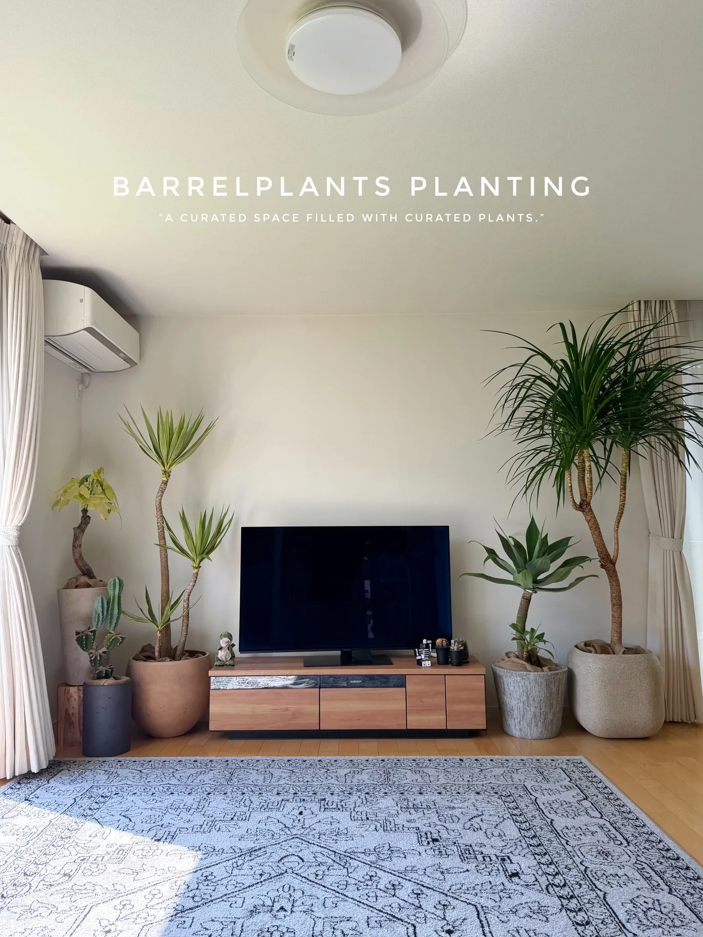 ✨指宿プランツでつくる、極上のリビンググリーン。