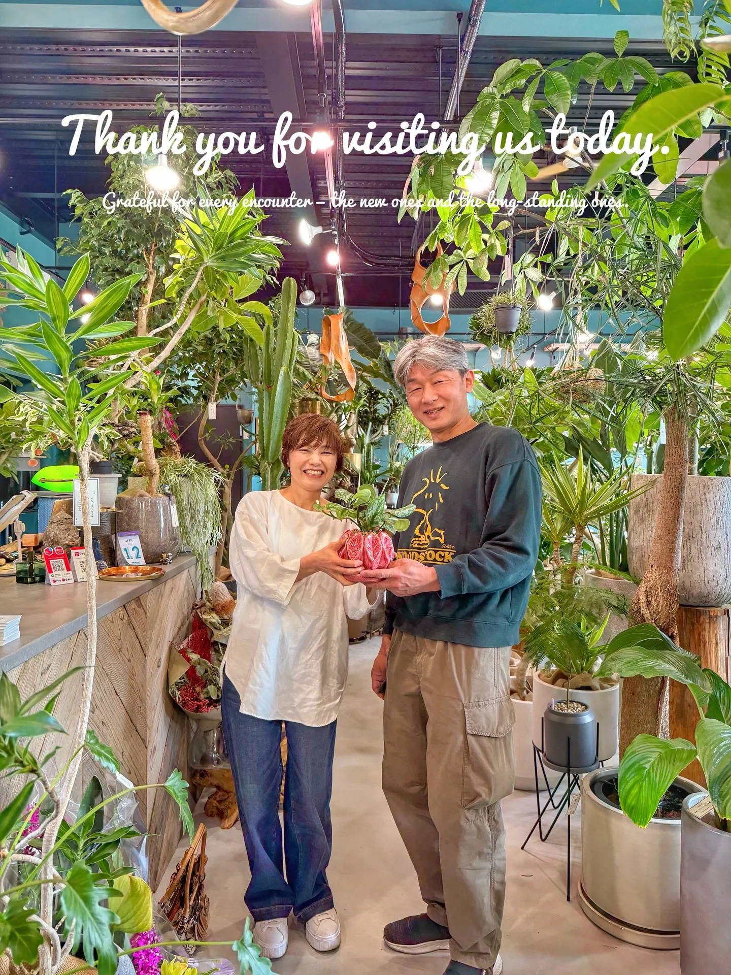 ✨指宿プランツでつくる、極上のリビンググリーン。