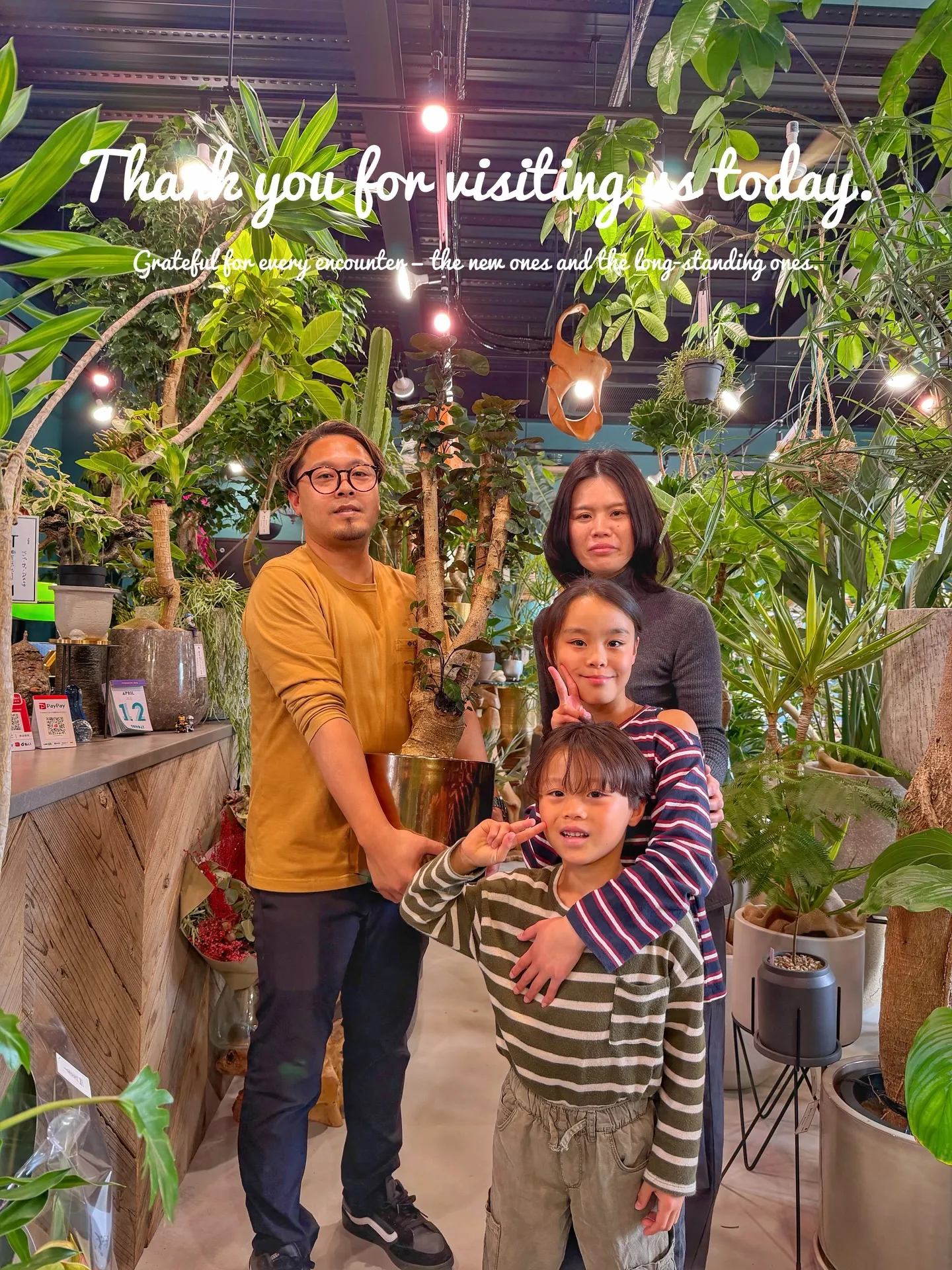 ✨指宿プランツでつくる、極上のリビンググリーン。