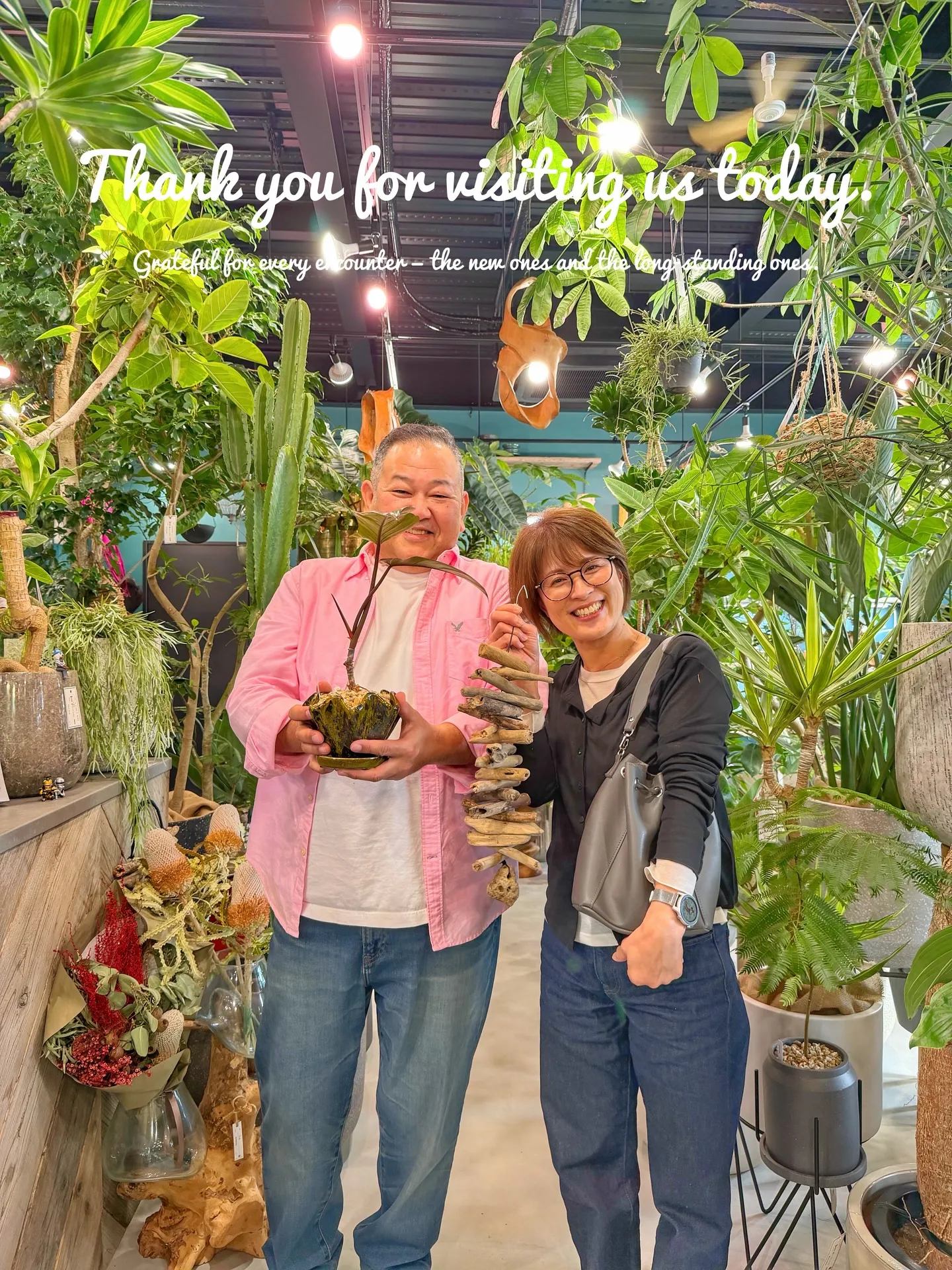 ✨指宿プランツでつくる、極上のリビンググリーン。