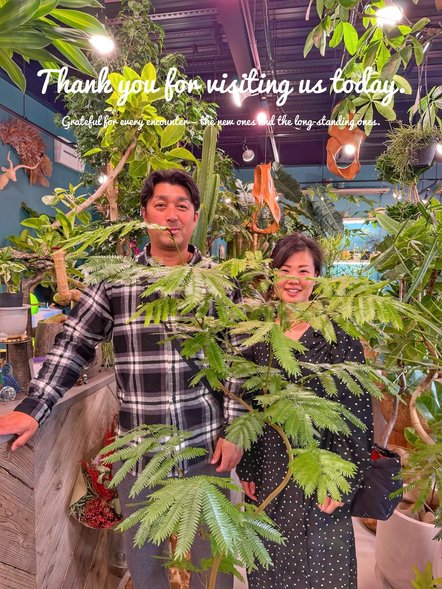 ✨指宿プランツでつくる、極上のリビンググリーン。