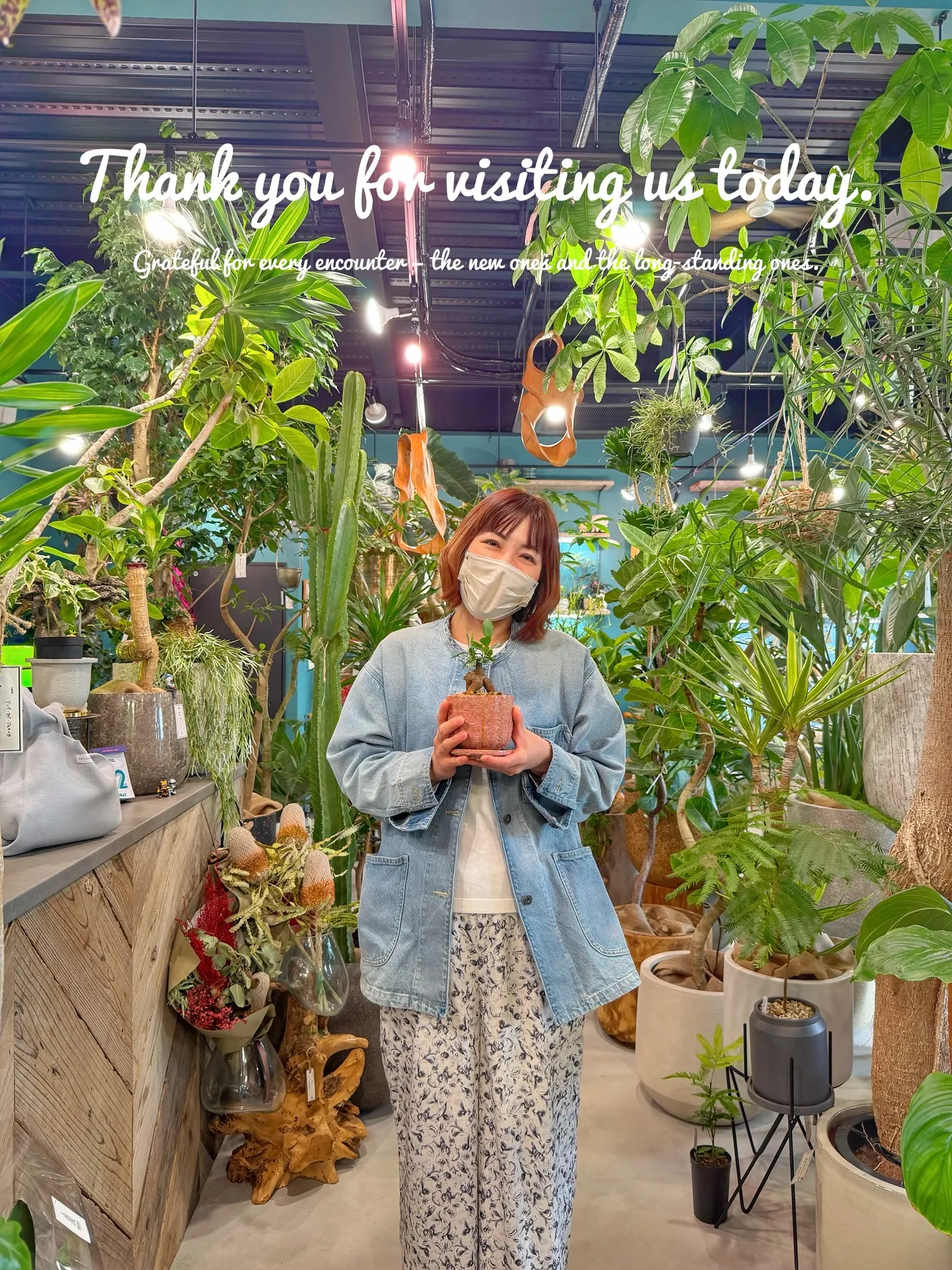 ✨指宿プランツでつくる、極上のリビンググリーン。