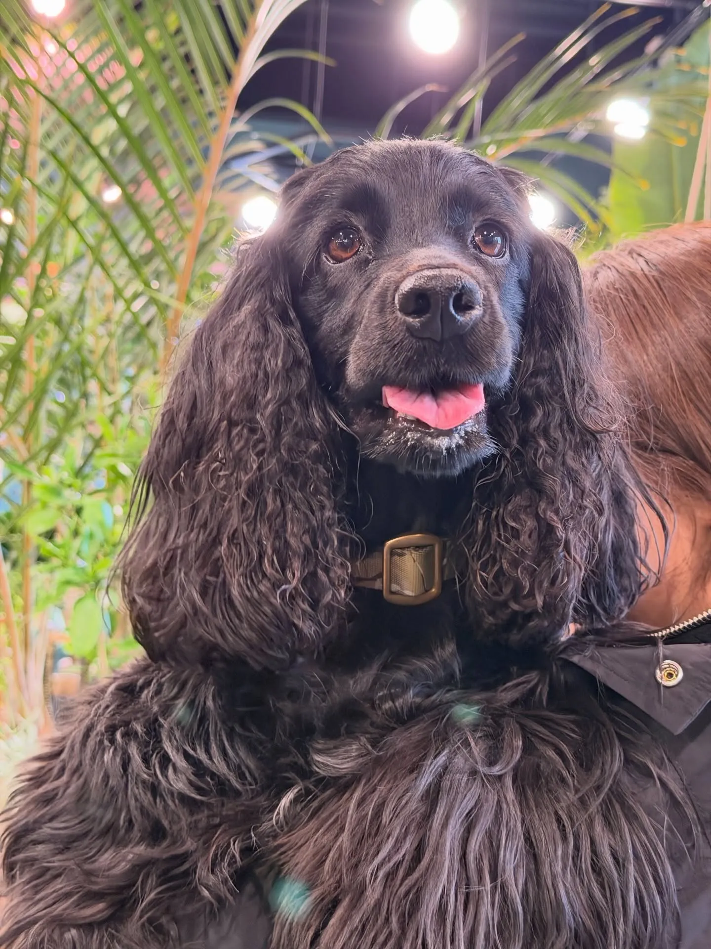 ✨指宿プランツでつくる、極上のリビンググリーン。