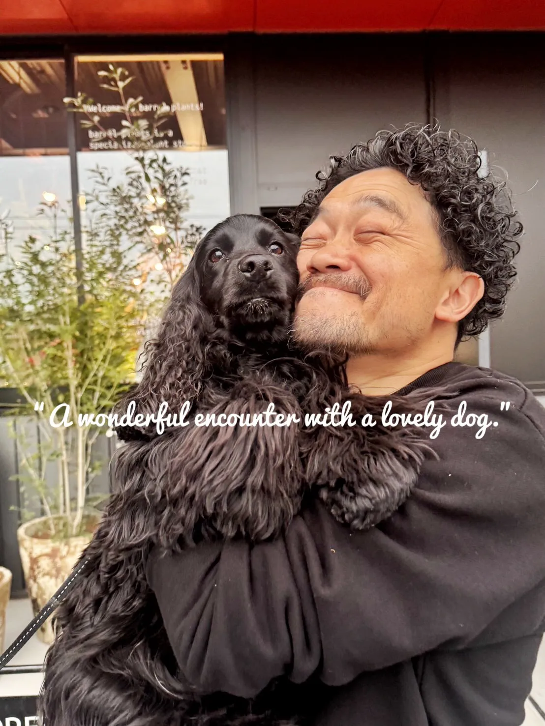 ✨指宿プランツでつくる、極上のリビンググリーン。