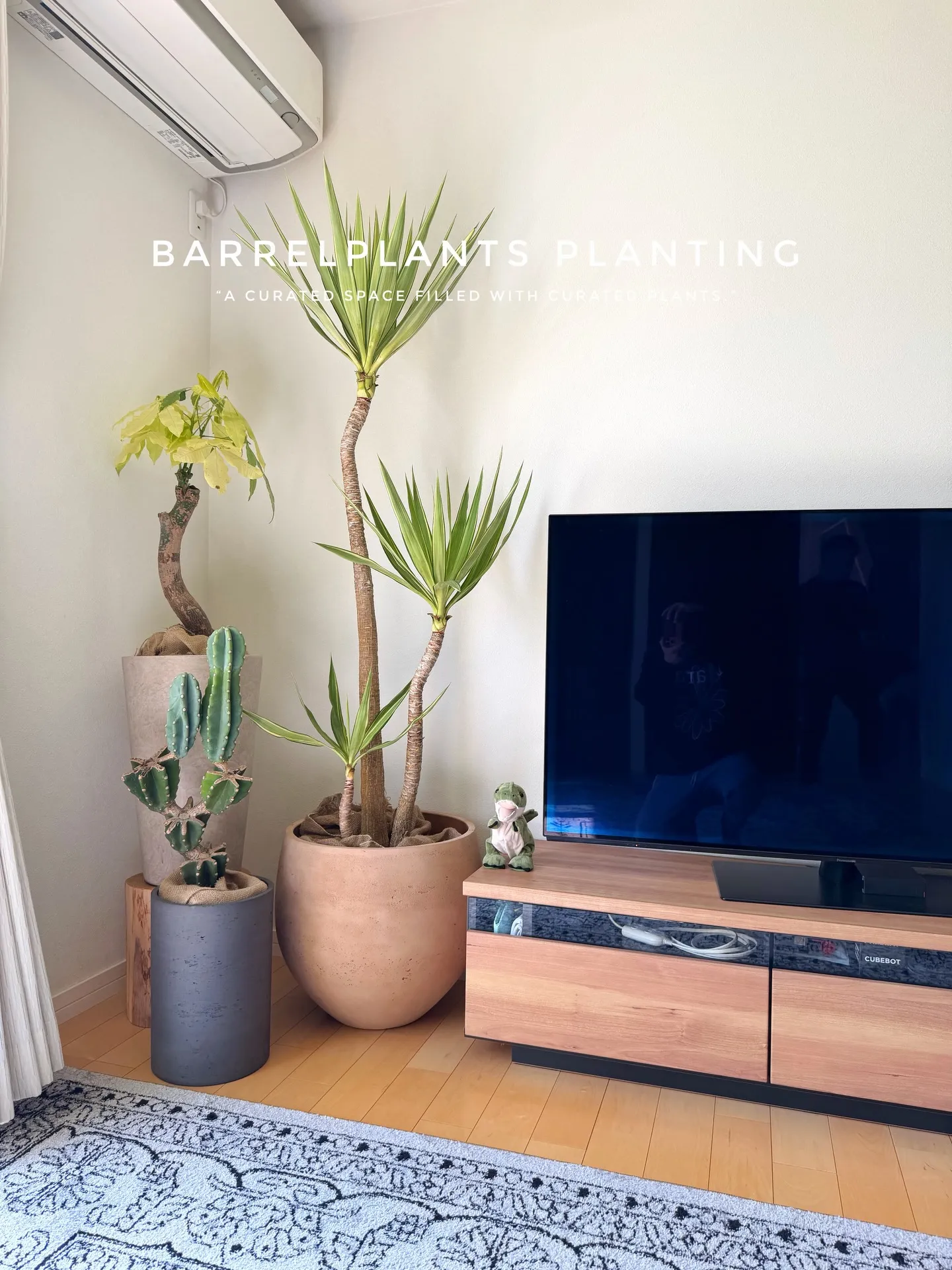 ✨指宿プランツでつくる、極上のリビンググリーン。