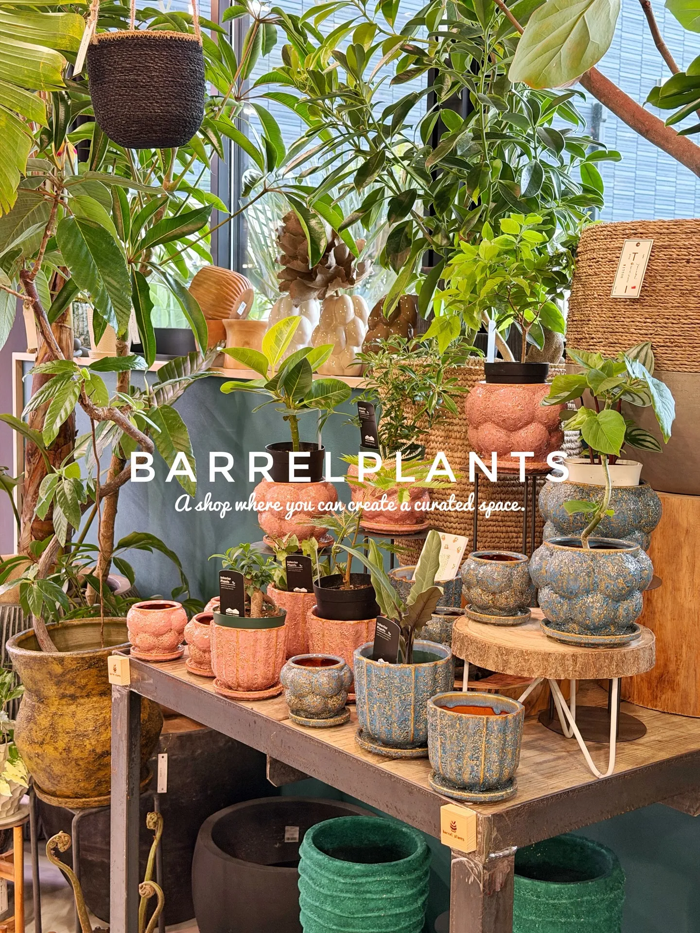 「こだわりの空間を育てる場所、バーレルプランツ」
