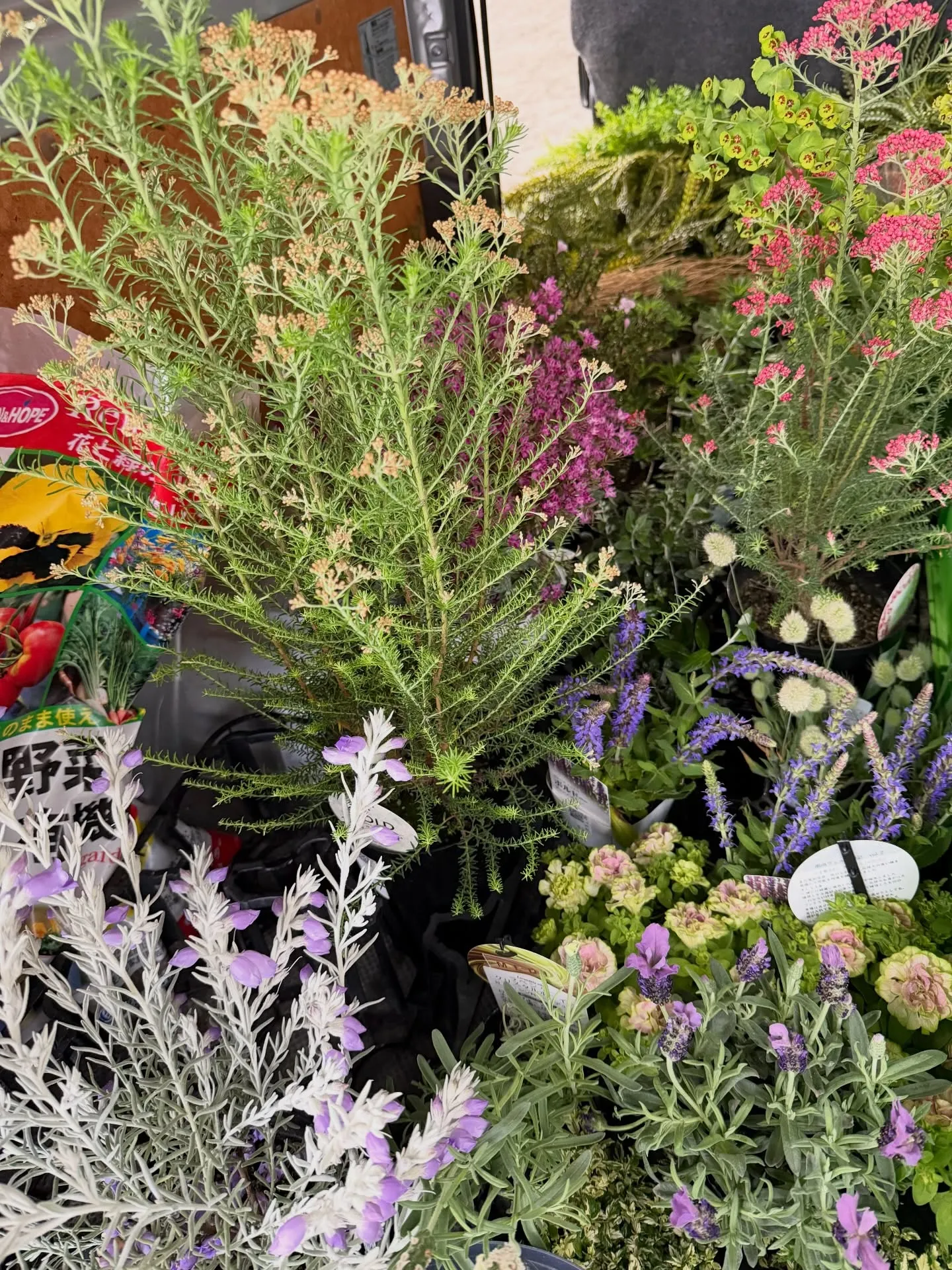 「こだわりの空間を育てる場所、バーレルプランツ」