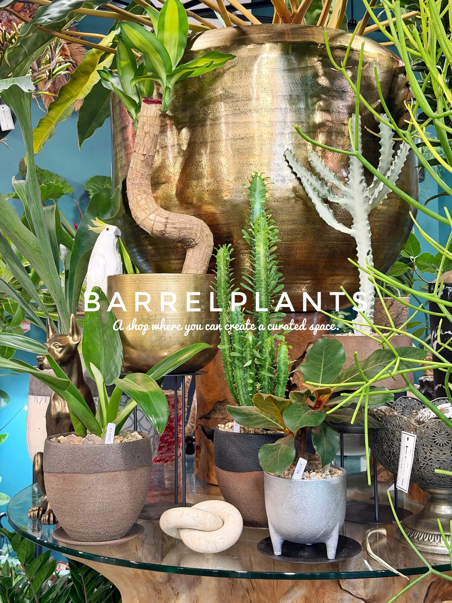 「こだわりの空間を育てる場所、バーレルプランツ」