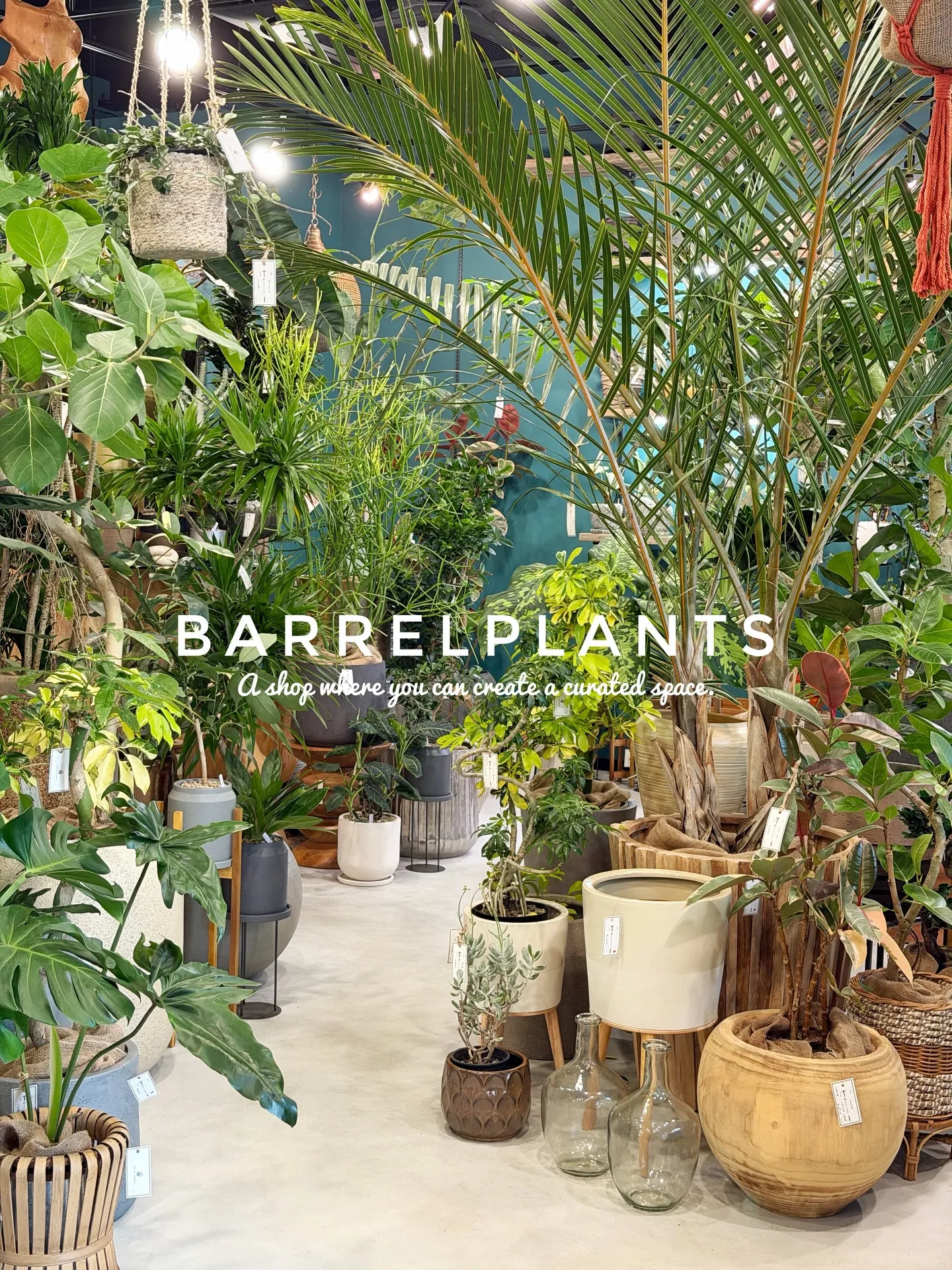 「こだわりの空間を育てる場所、バーレルプランツ」