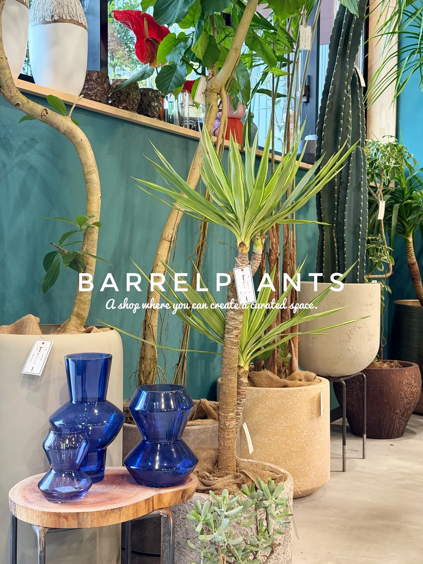 「こだわりの空間を育てる場所、バーレルプランツ」