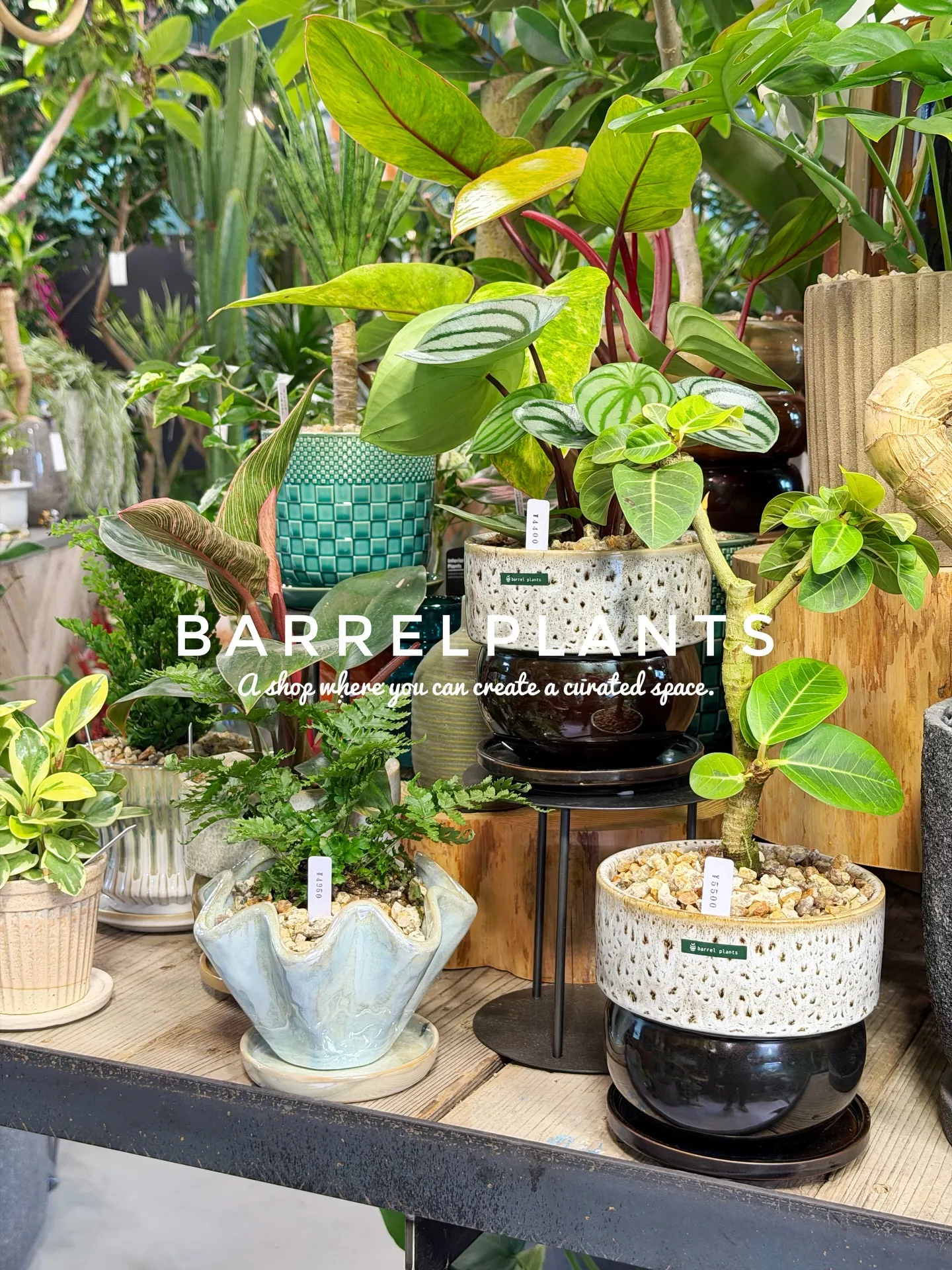 「こだわりの空間を育てる場所、バーレルプランツ」