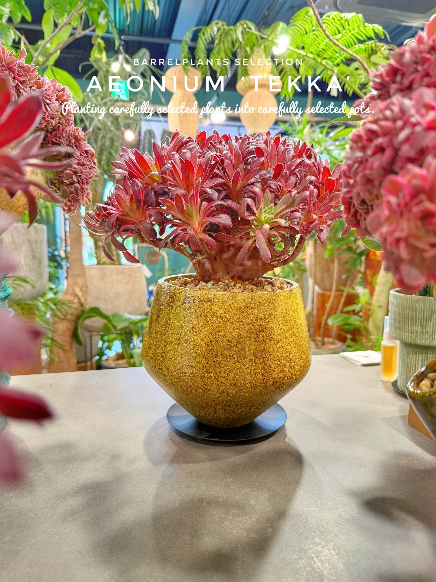 「個性派にこそ、器で差をつける。