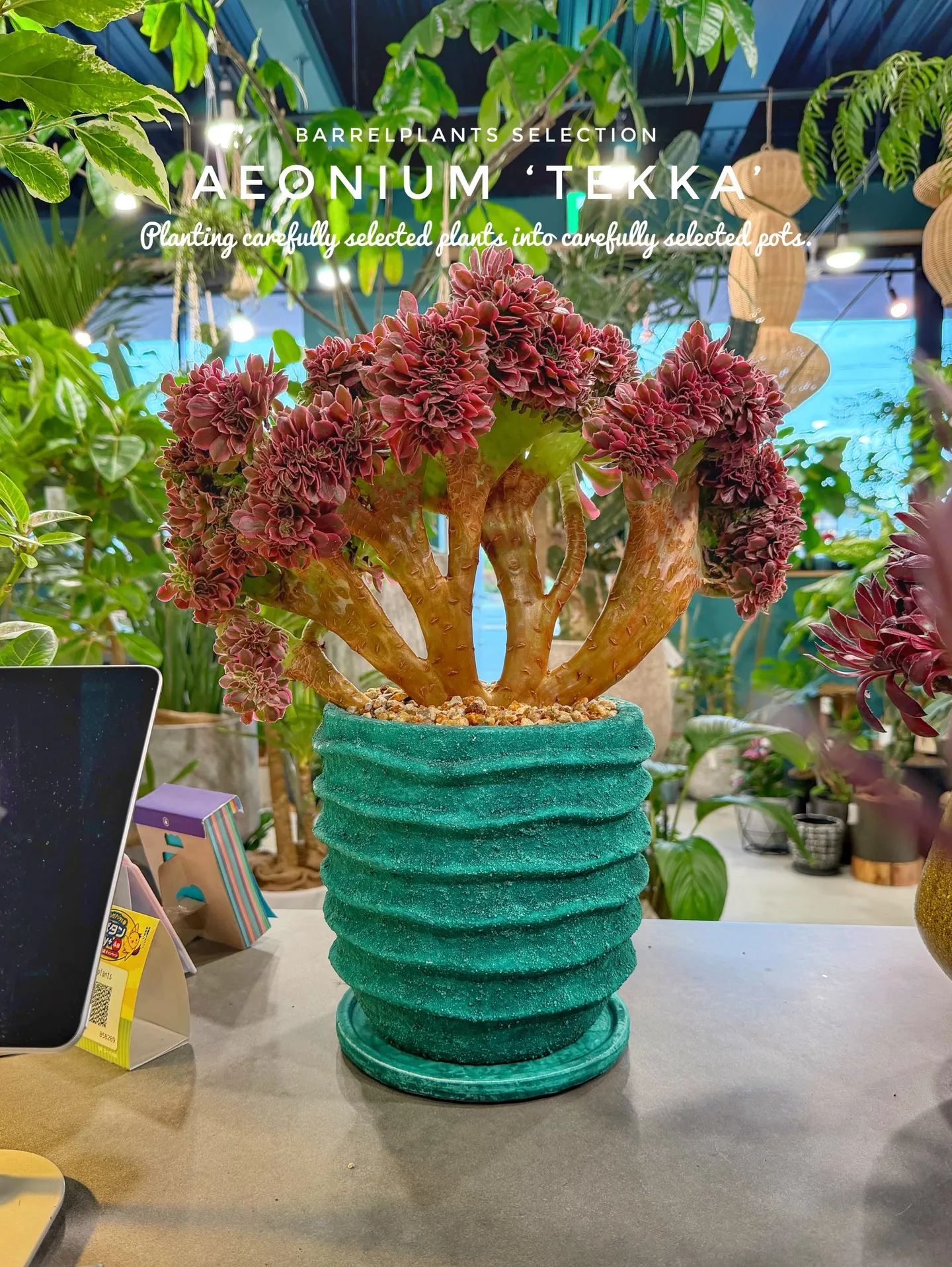 「個性派にこそ、器で差をつける。