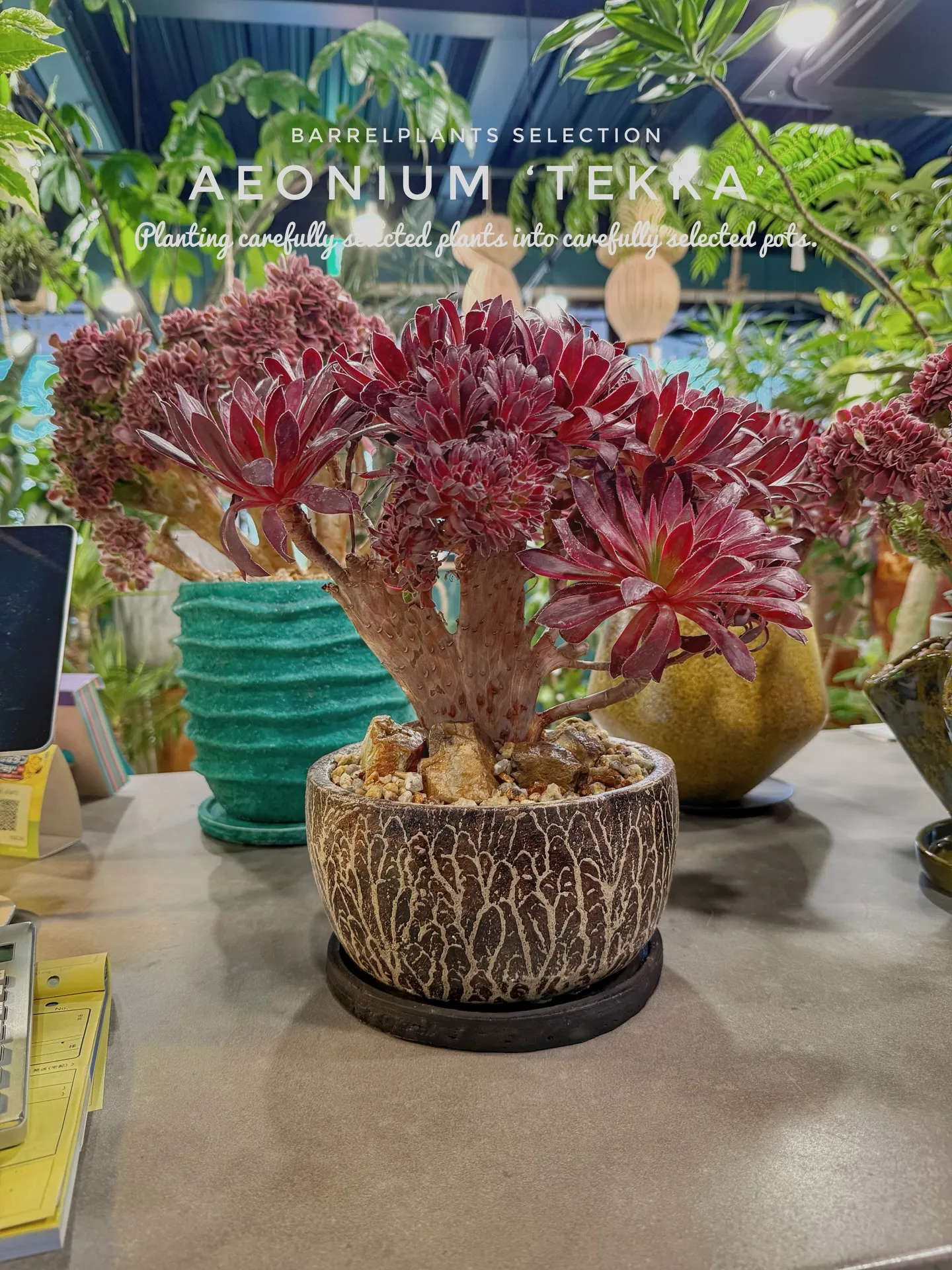 「個性派にこそ、器で差をつける。