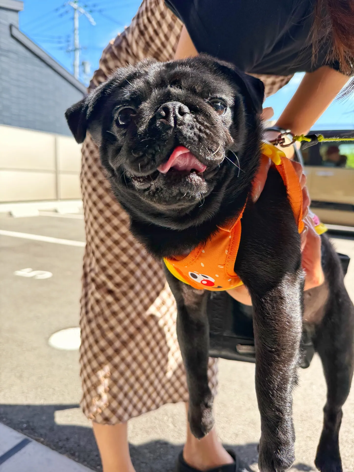 「個性派にこそ、器で差をつける。