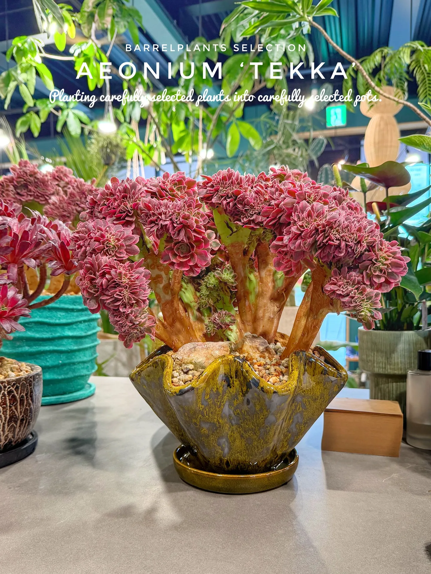 「個性派にこそ、器で差をつける。