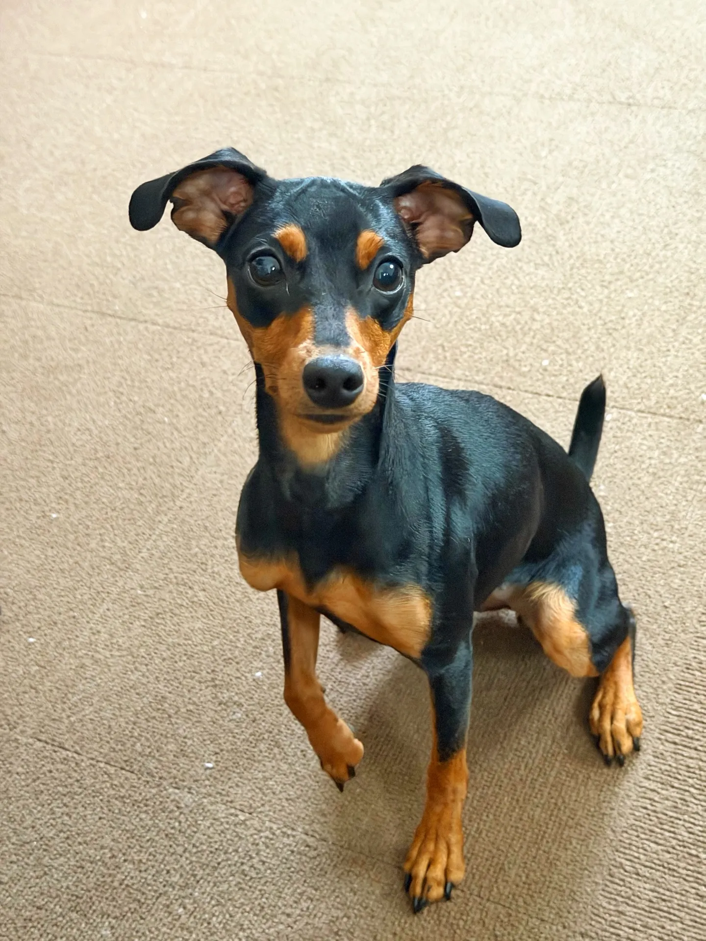 「個性派にこそ、器で差をつける。