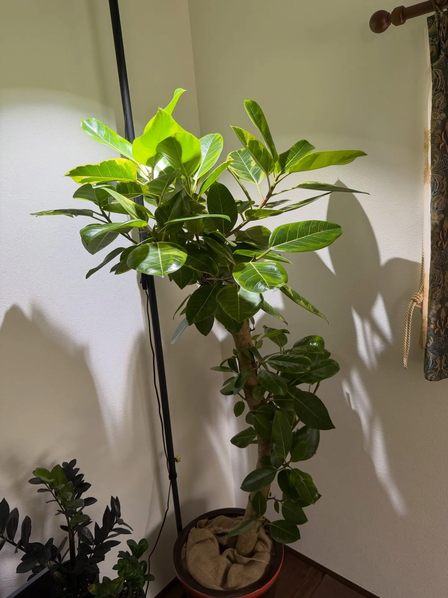 「個性派にこそ、器で差をつける。