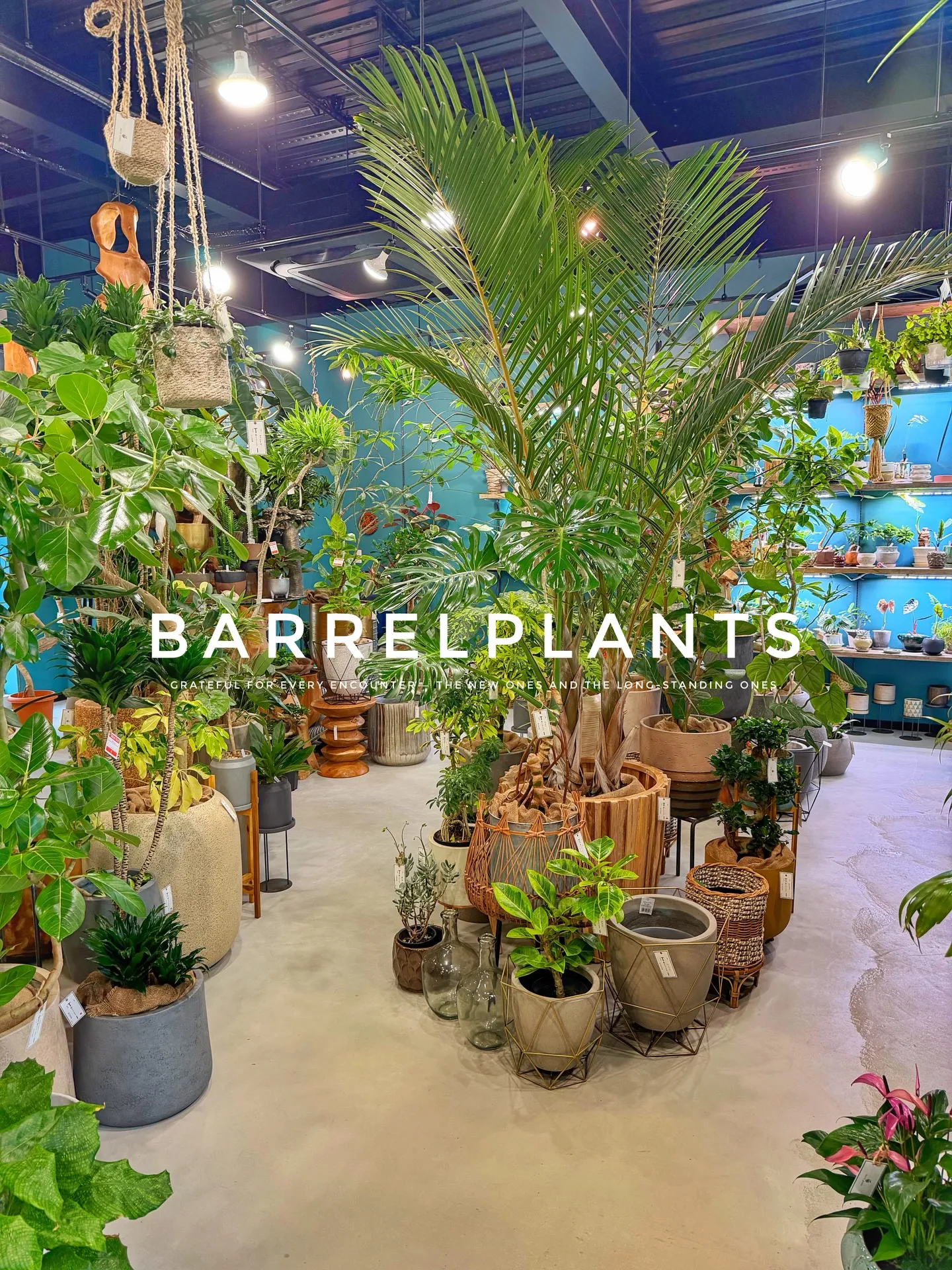 【こだわりの植物とこだわりの鉢のお店、barrelplant...
