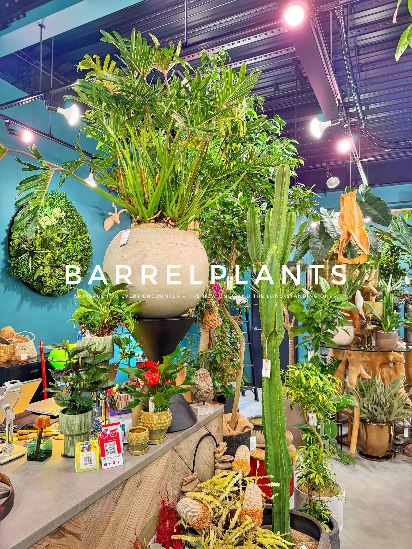 【こだわりの植物とこだわりの鉢のお店、barrelplant...
