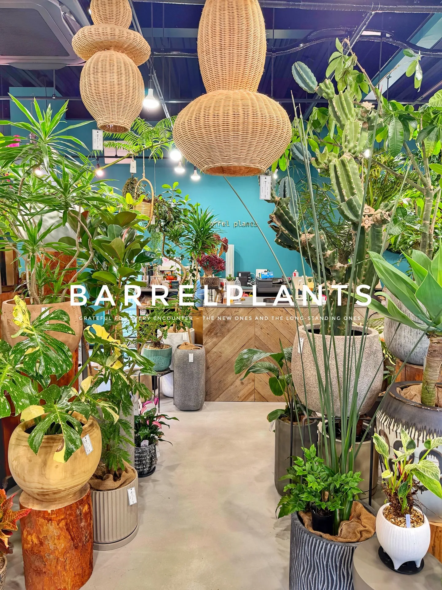【こだわりの植物とこだわりの鉢のお店、barrelplant...