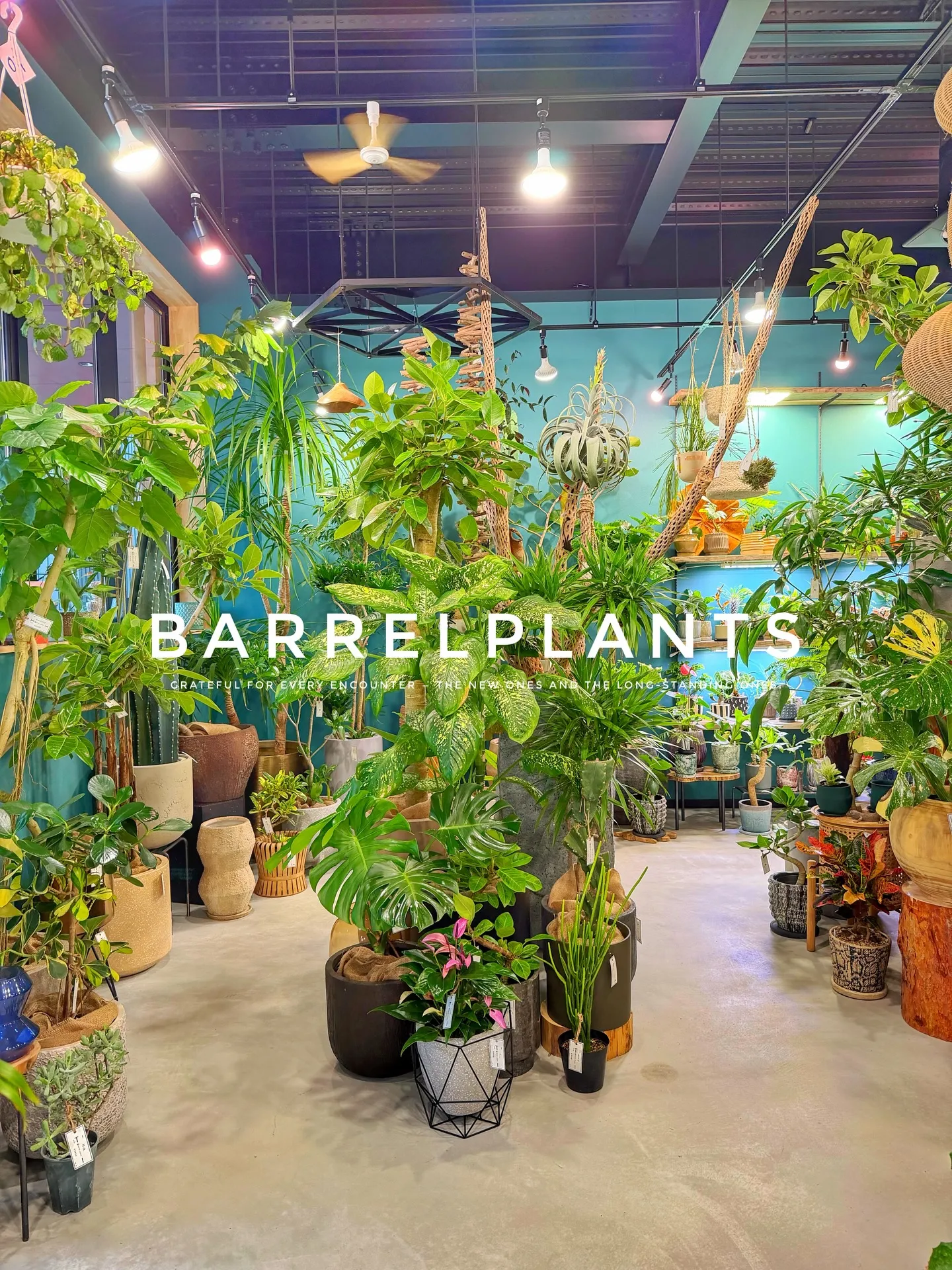 【こだわりの植物とこだわりの鉢のお店、barrelplant...